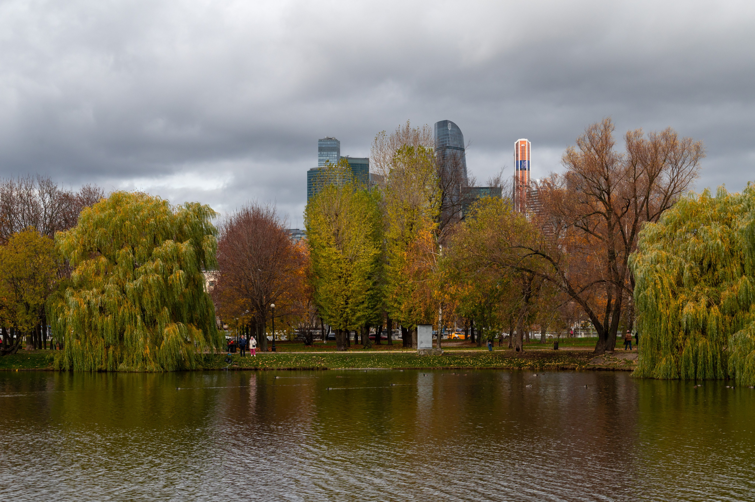 20221030 Новодевичий. Дмитрий Ремизов. Фотография, как хобби