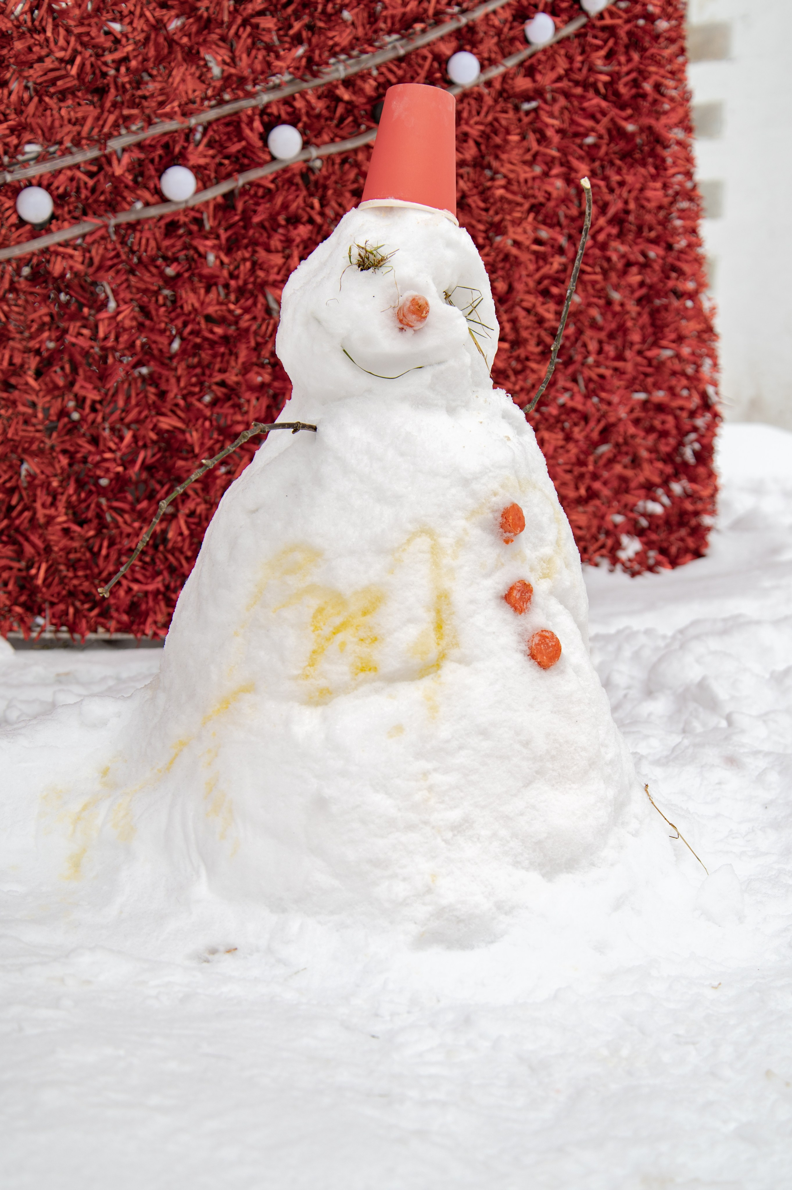 20240127 Ростокинский акведук. Дмитрий Ремизов. Фотография, как хобби