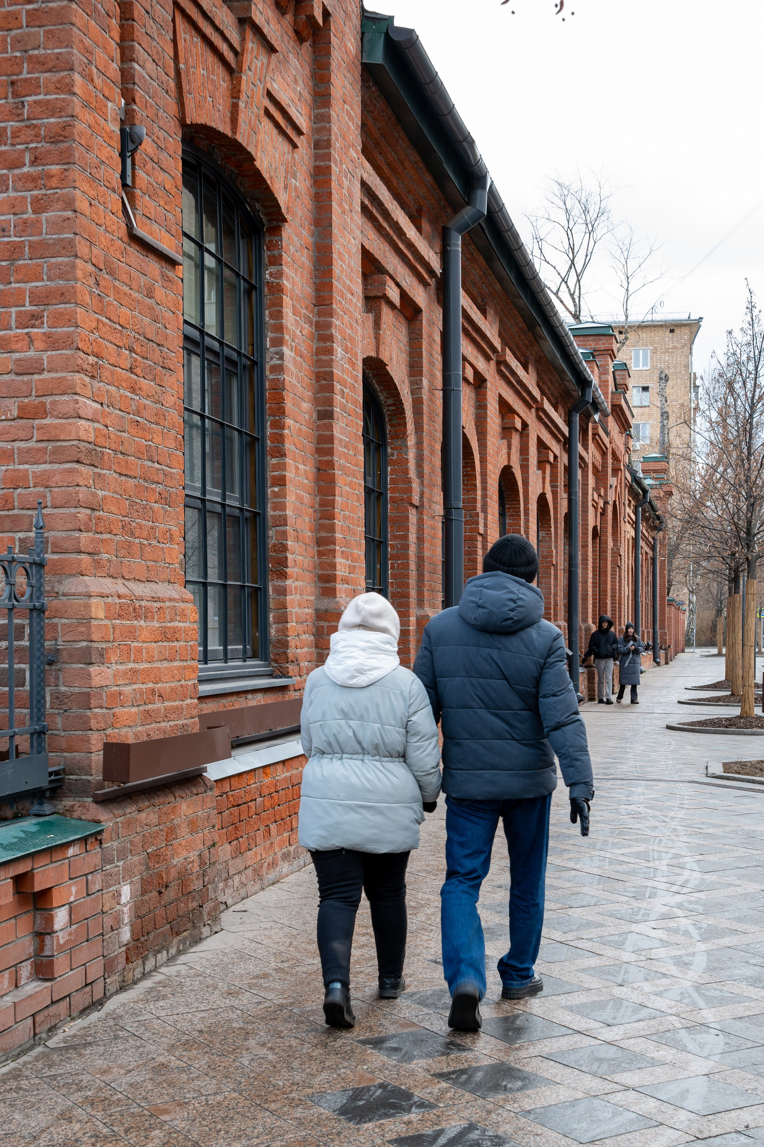 20250202 Белорусская-Охотный ряд. Дмитрий Ремизов. Фотография, как хобби