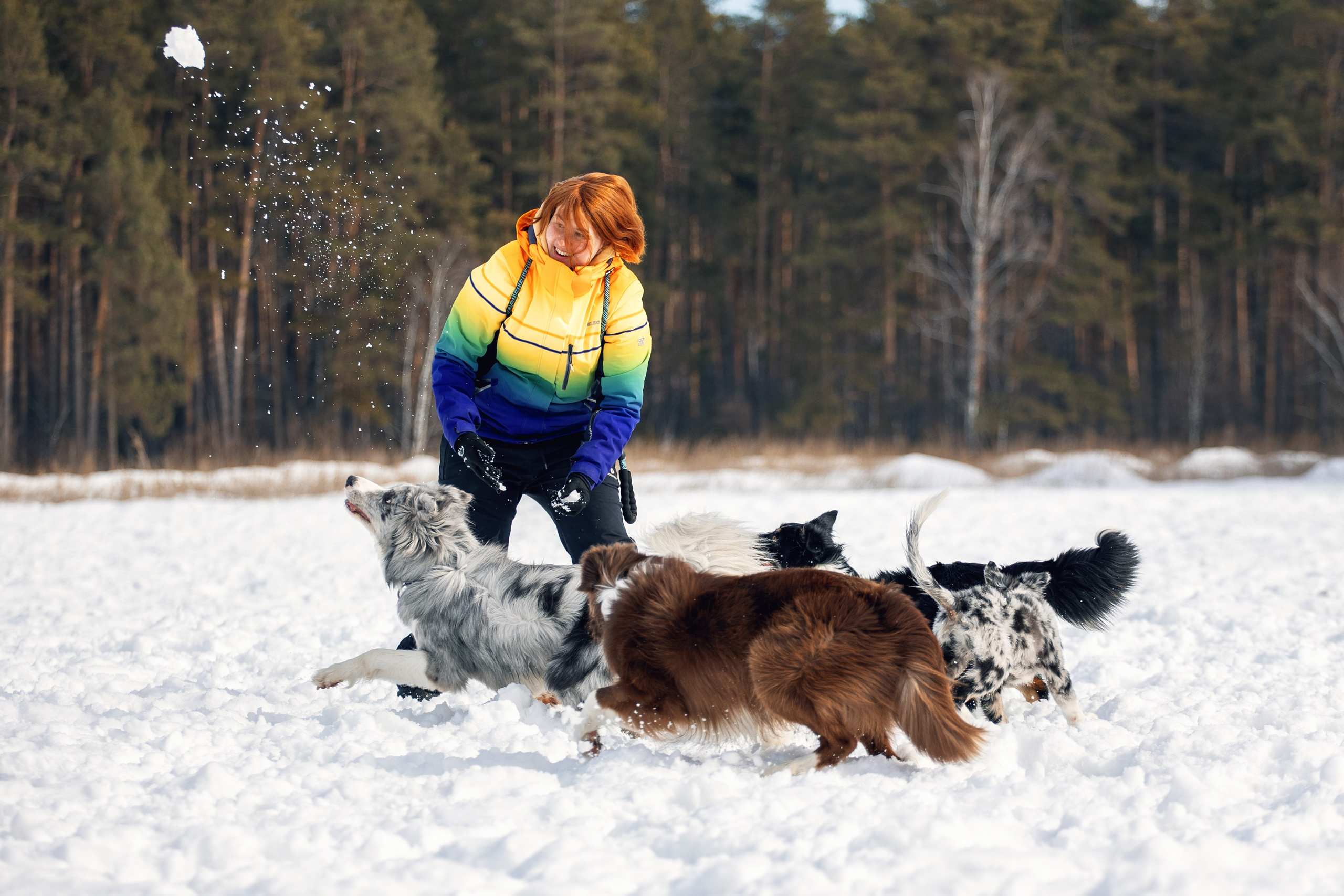В погоне за снежком…. YULA KOLESOVA | Фотограф — Анималист | Художник | Тюмень