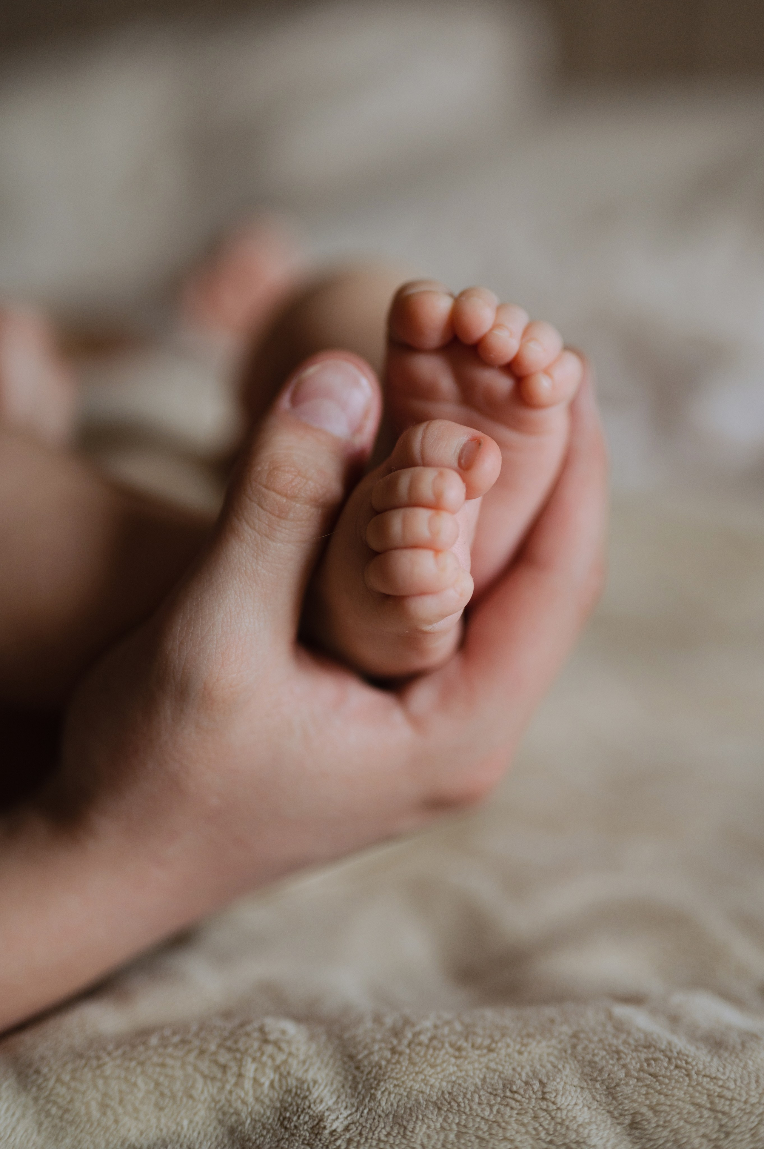 Григорьевы +1. Фотограф Красноярск Екатерина Карпеза