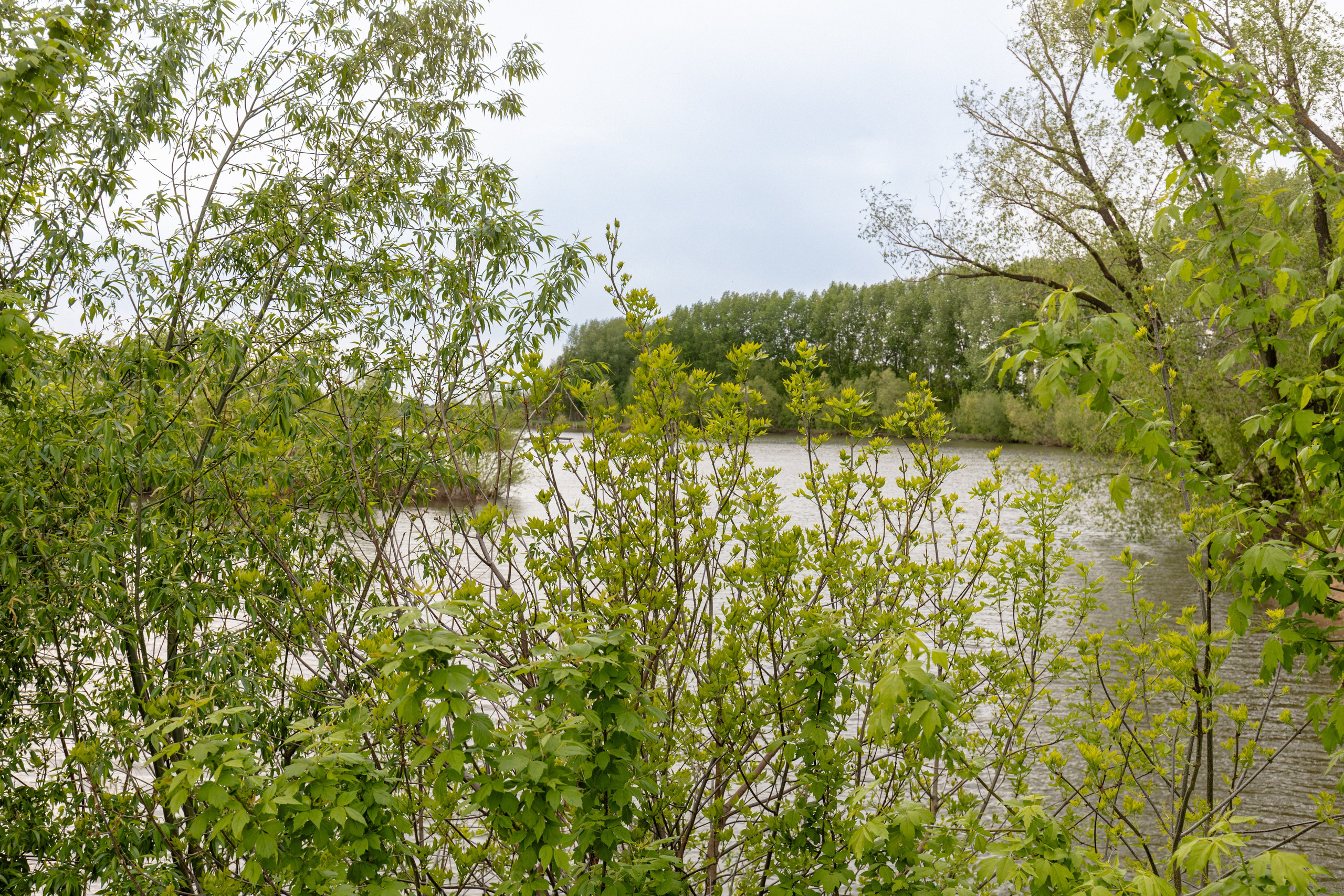Приусадебный участок. Владислав Волков | Фотография и видеосъемка в Воронеже