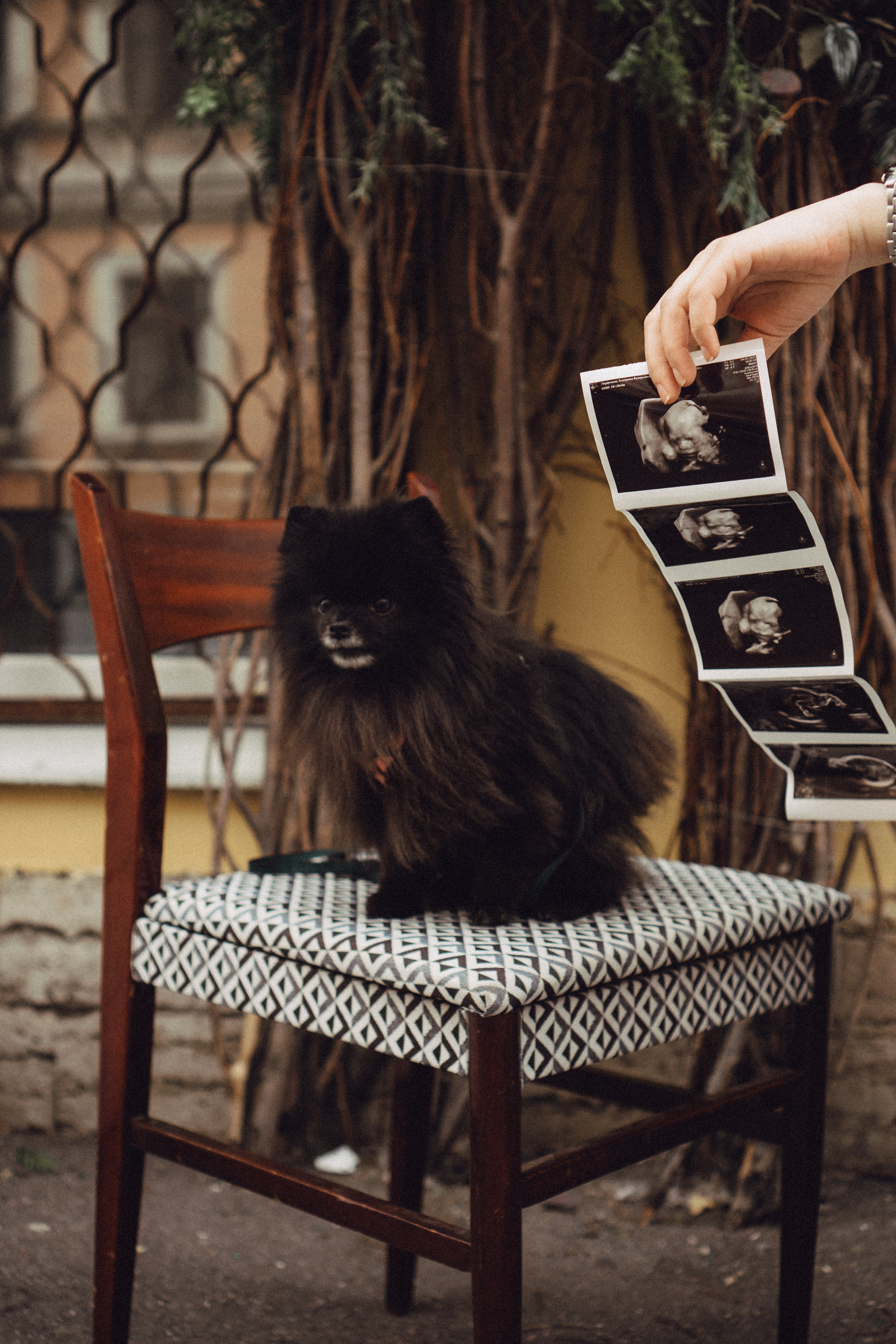 Беременность (только часть фото по желанию клиентов могу показать)). Профессиональный фотограф, Санкт-Петербург — Виктория Богомолова
