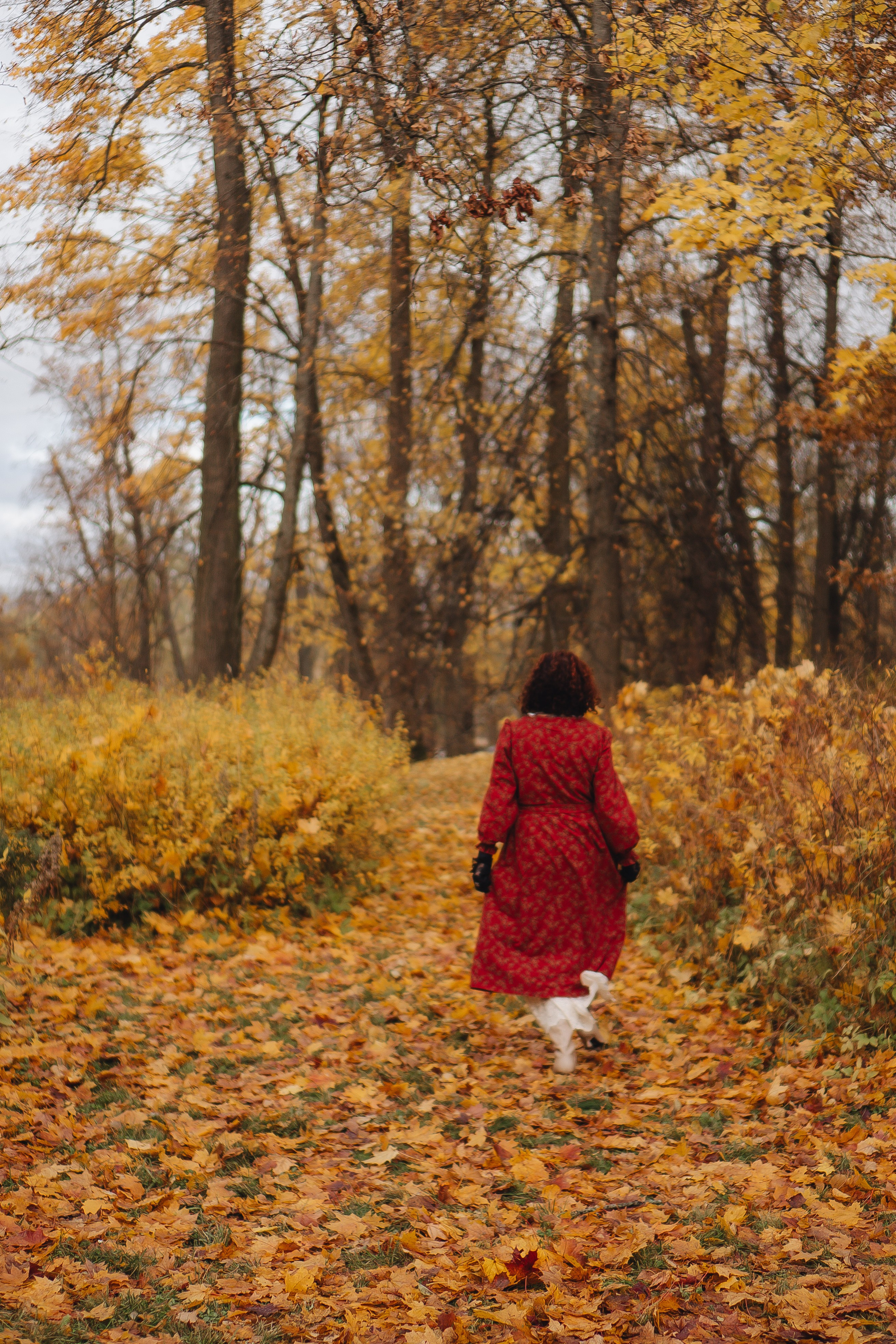 Осенний парк. Профессиональный фотограф, Санкт-Петербург — Виктория Богомолова