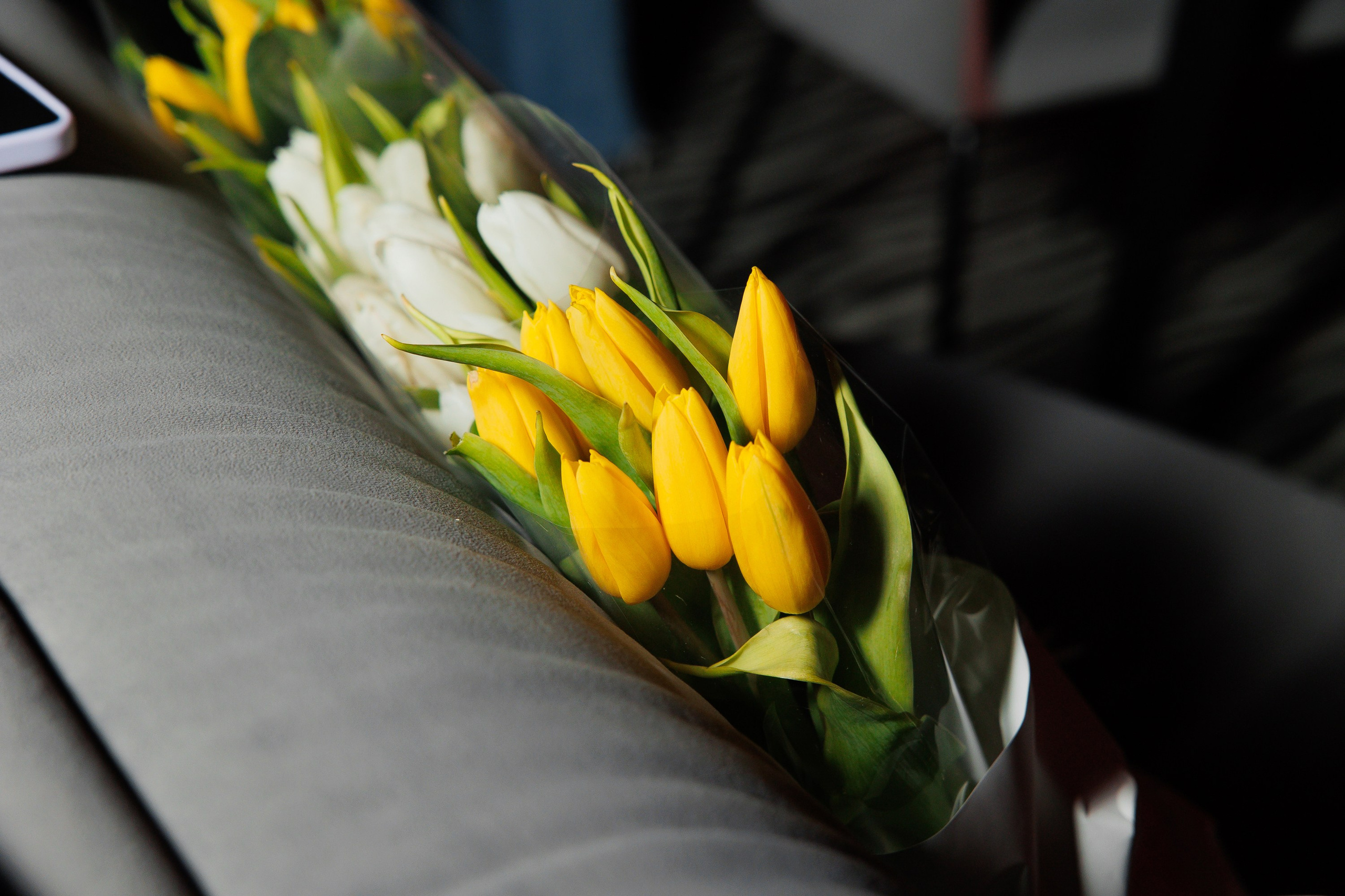 SOLOVI. СВОИ. ФОТООТЧЕТЫ-СОБЫТИЯ-МЕСТА