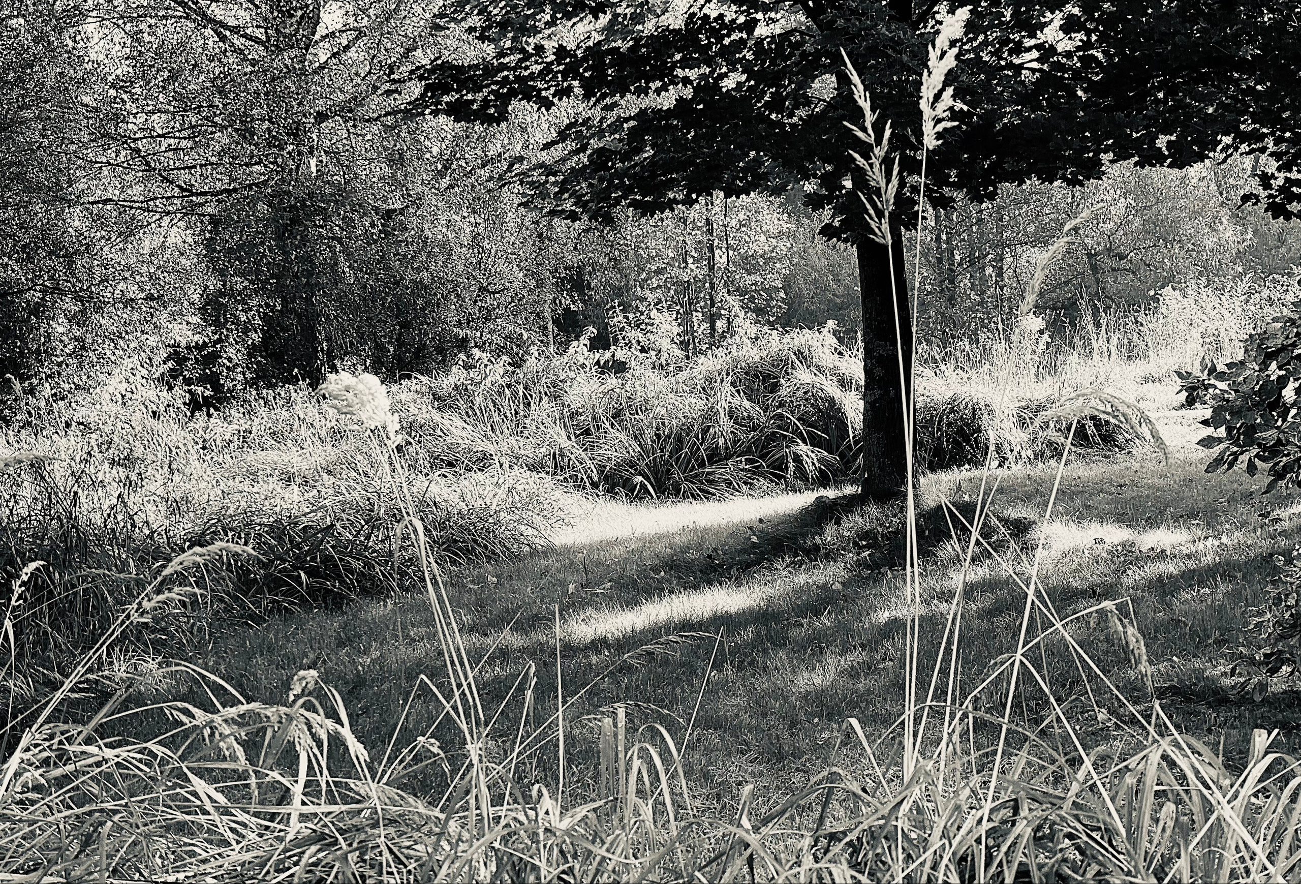 ЧБ. Творческая фотография Юлии Артюх, Москва