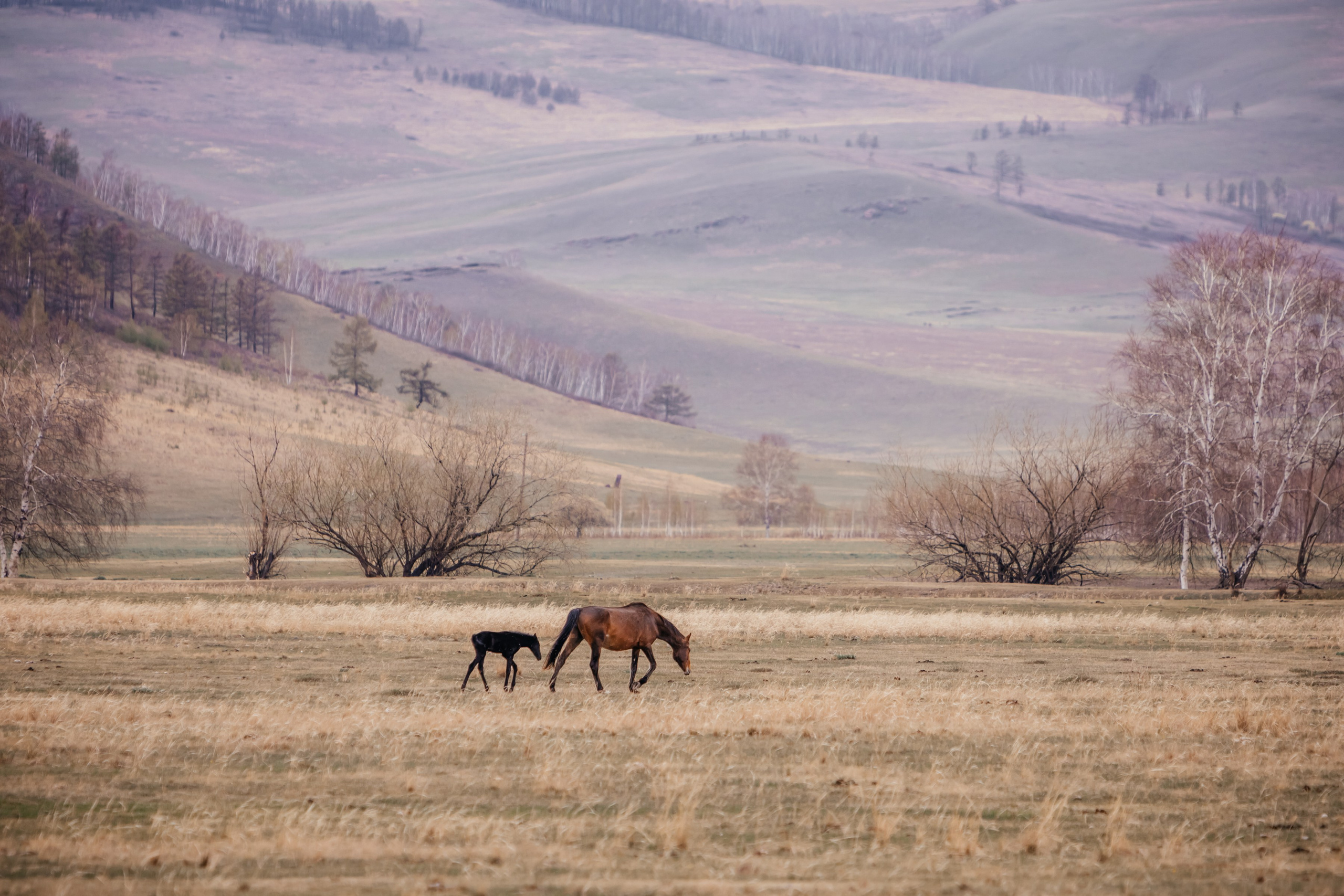 Хакассия. Фотограф в Красноярске Оксана Корчагина