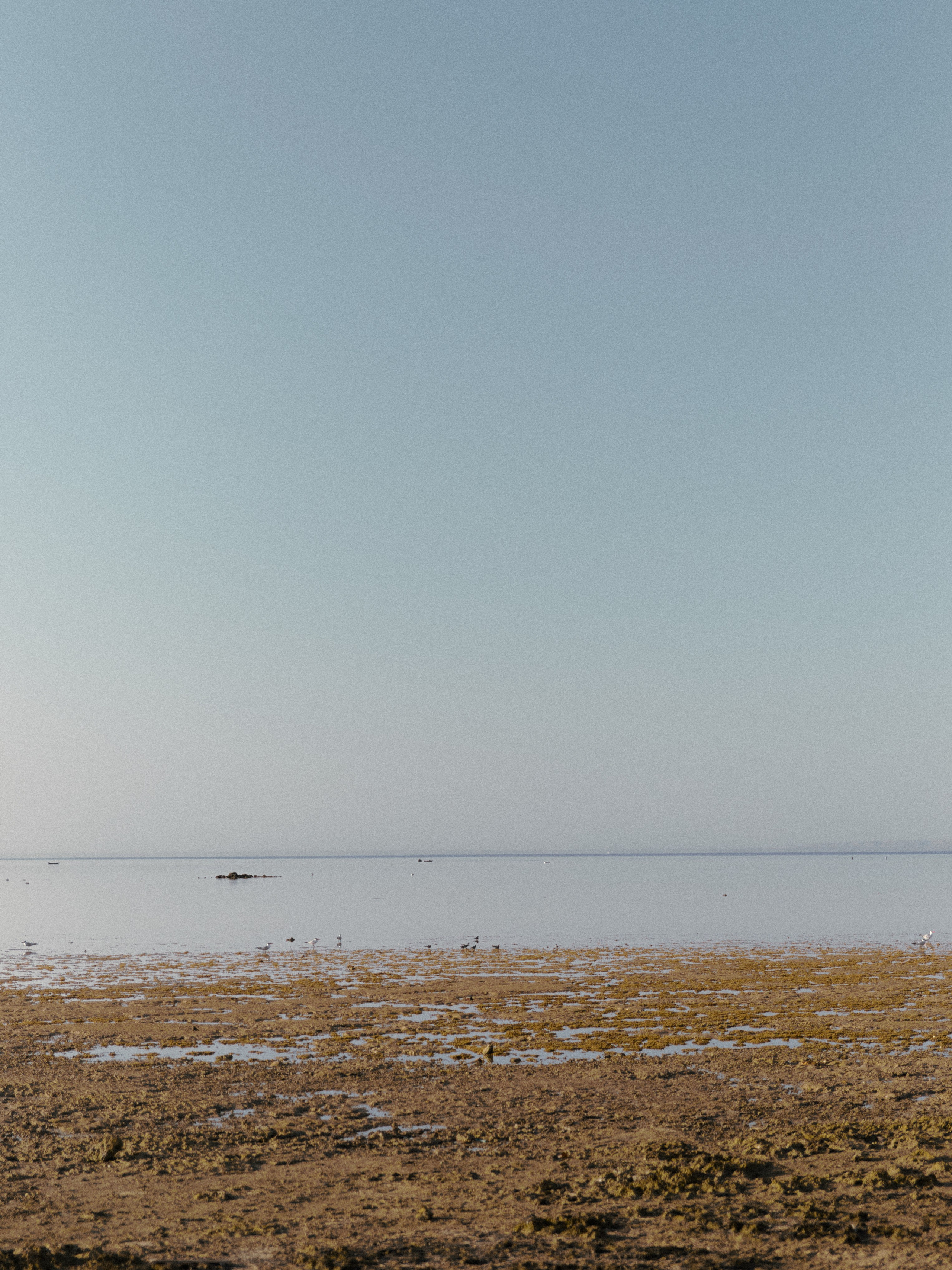 Природа. Jorgis Talè — photographer, kind person, teacher of arts and other mag