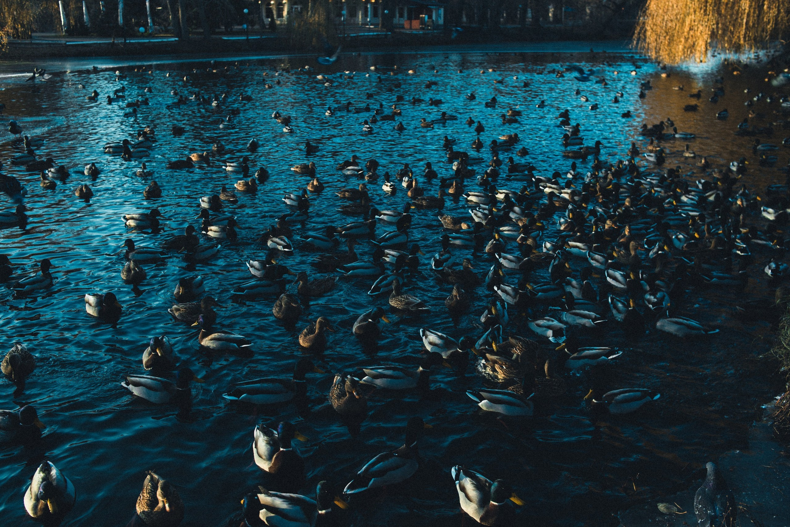 Улица горизонтальная. Jorgis — фотограф в Хургаде / обучение фотографии