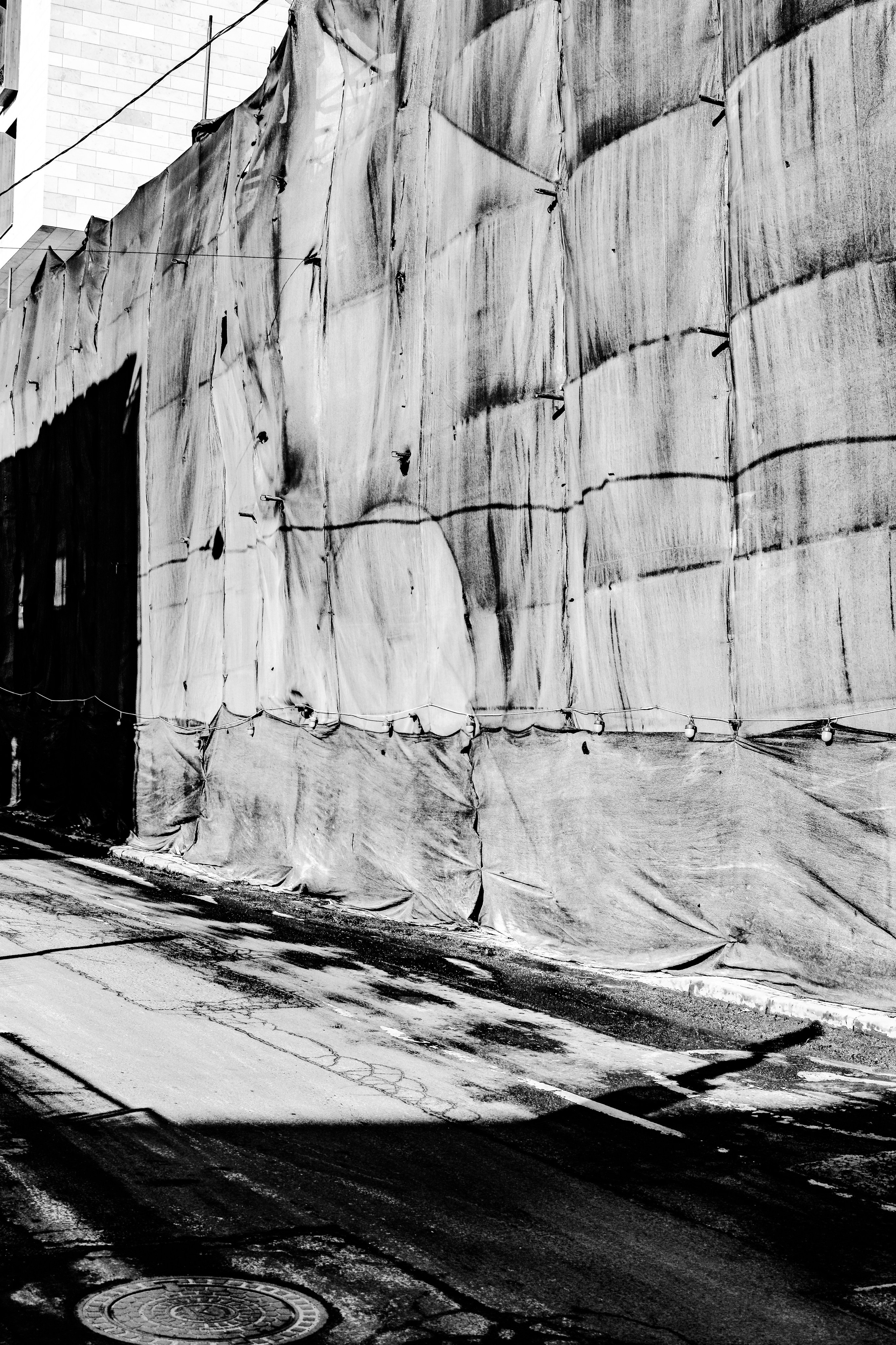 II. Стас Привалов