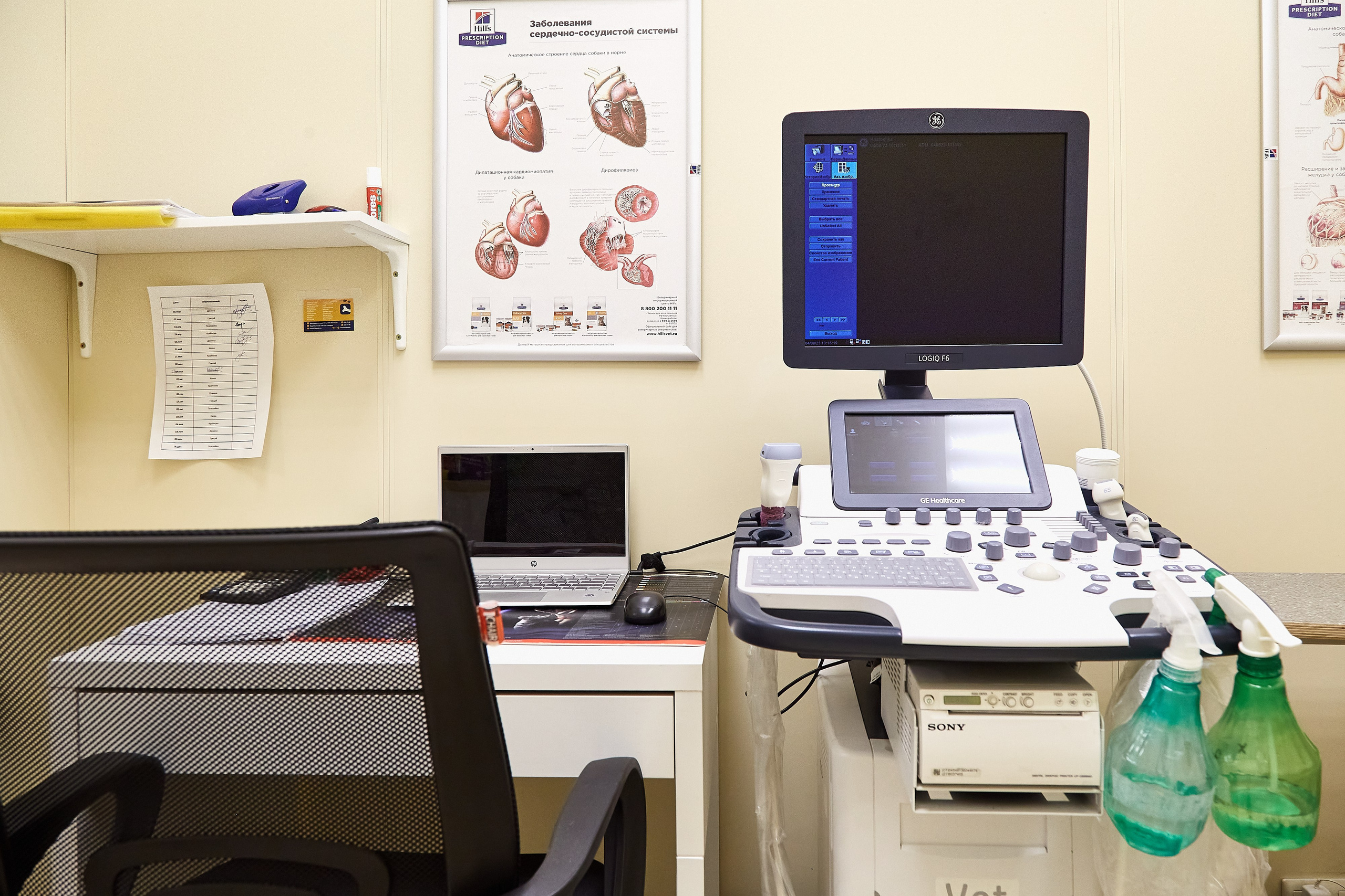 Ветеринарная клиника Косточка на Дальневосточном пр. Фотограф Анастасия Леонтьева Санкт-Петербург