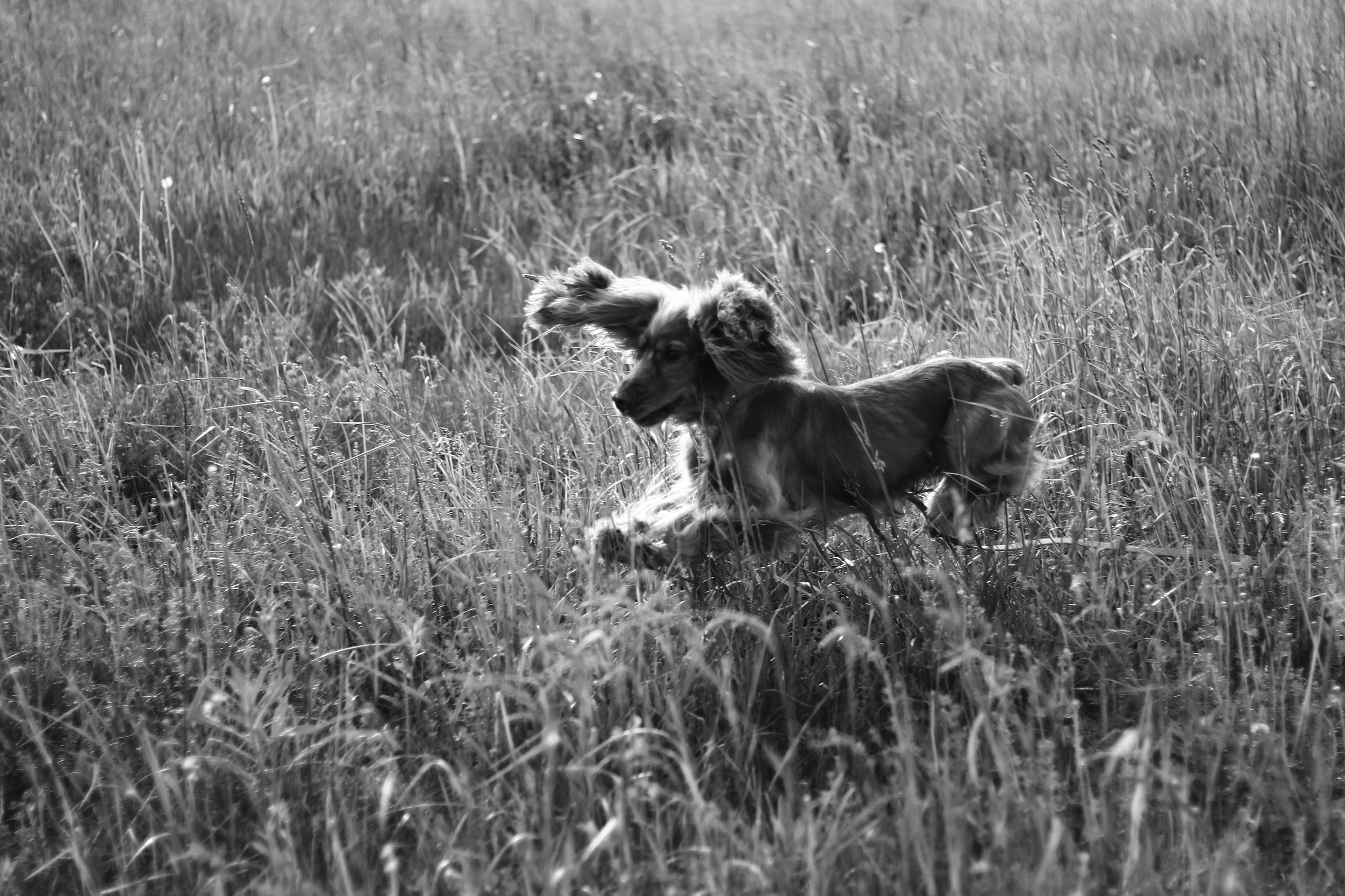 Фотосессия на природе в Арт парке Никола ленивец-Вика