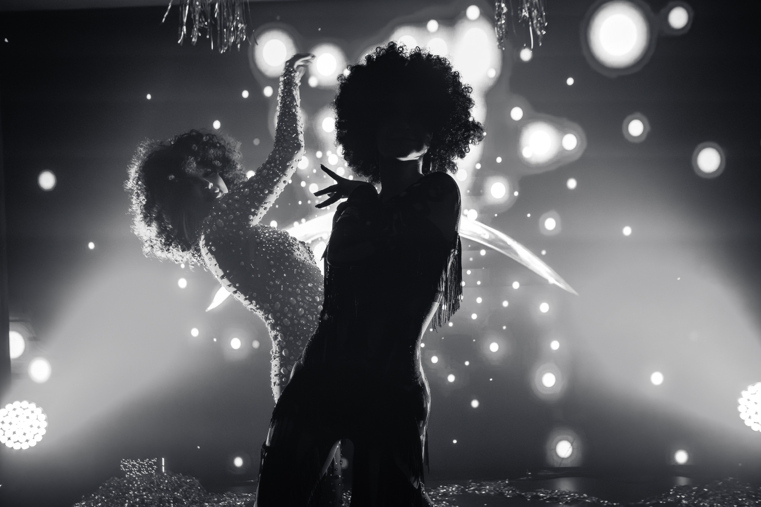 «Magic of BONEY`M «_Чайка на пляже_Ялта_06.12.2025 г. Аминов Руслан | Фотограф