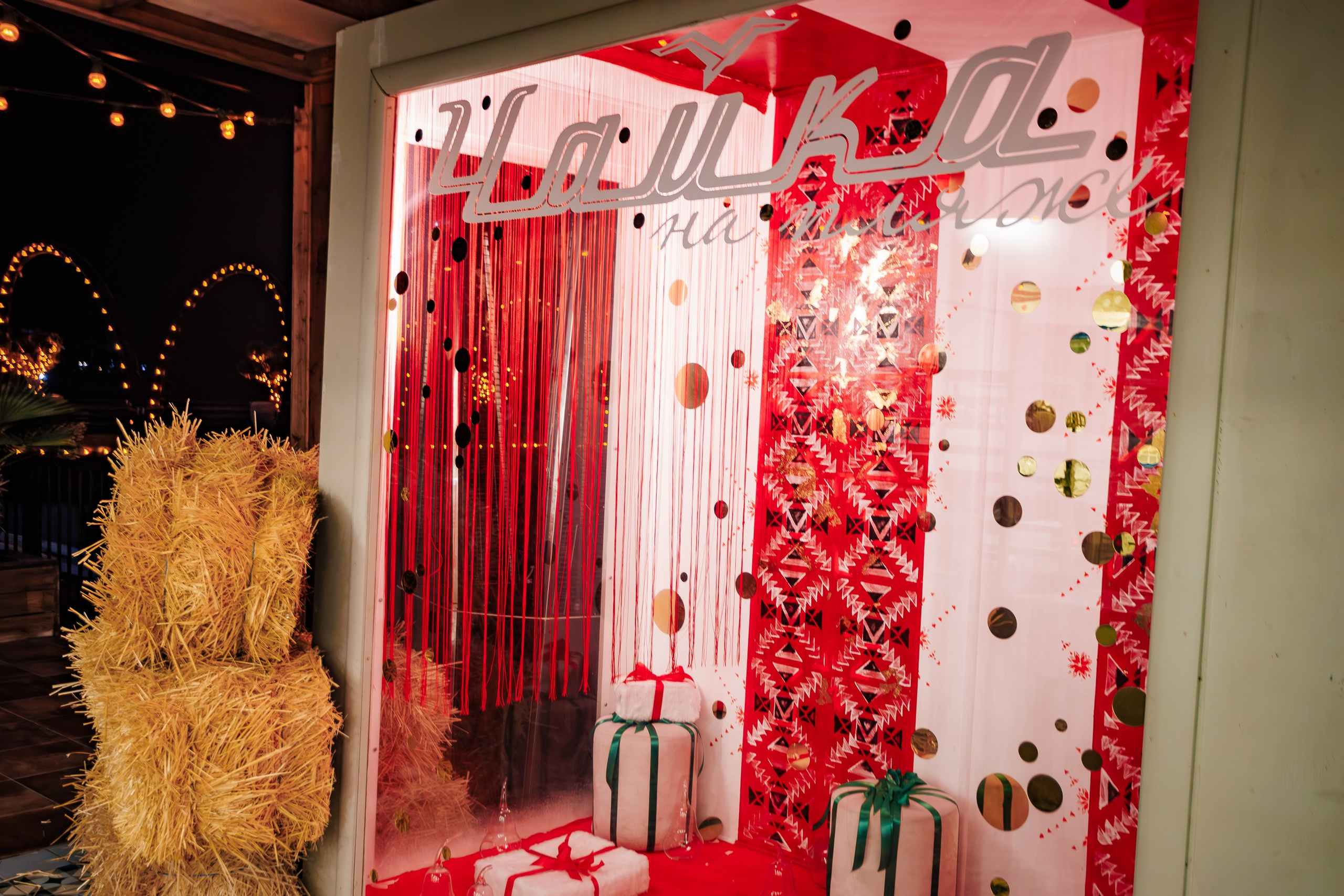 «Magic of BONEY`M «_Чайка на пляже_Ялта_06.12.2025 г. Аминов Руслан | Фотограф