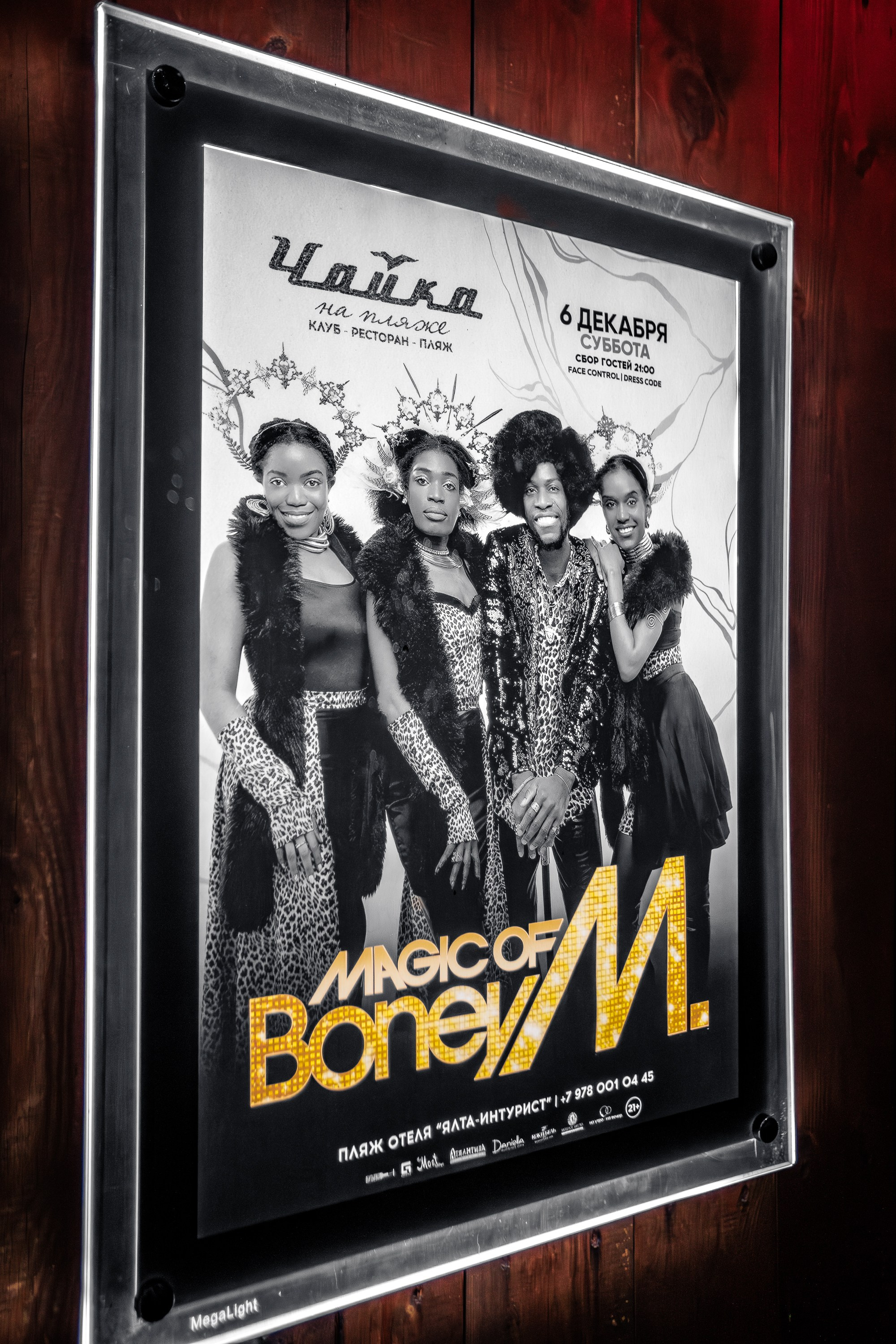 «Magic of BONEY`M «_Чайка на пляже_Ялта_06.12.2025 г. Аминов Руслан | Фотограф