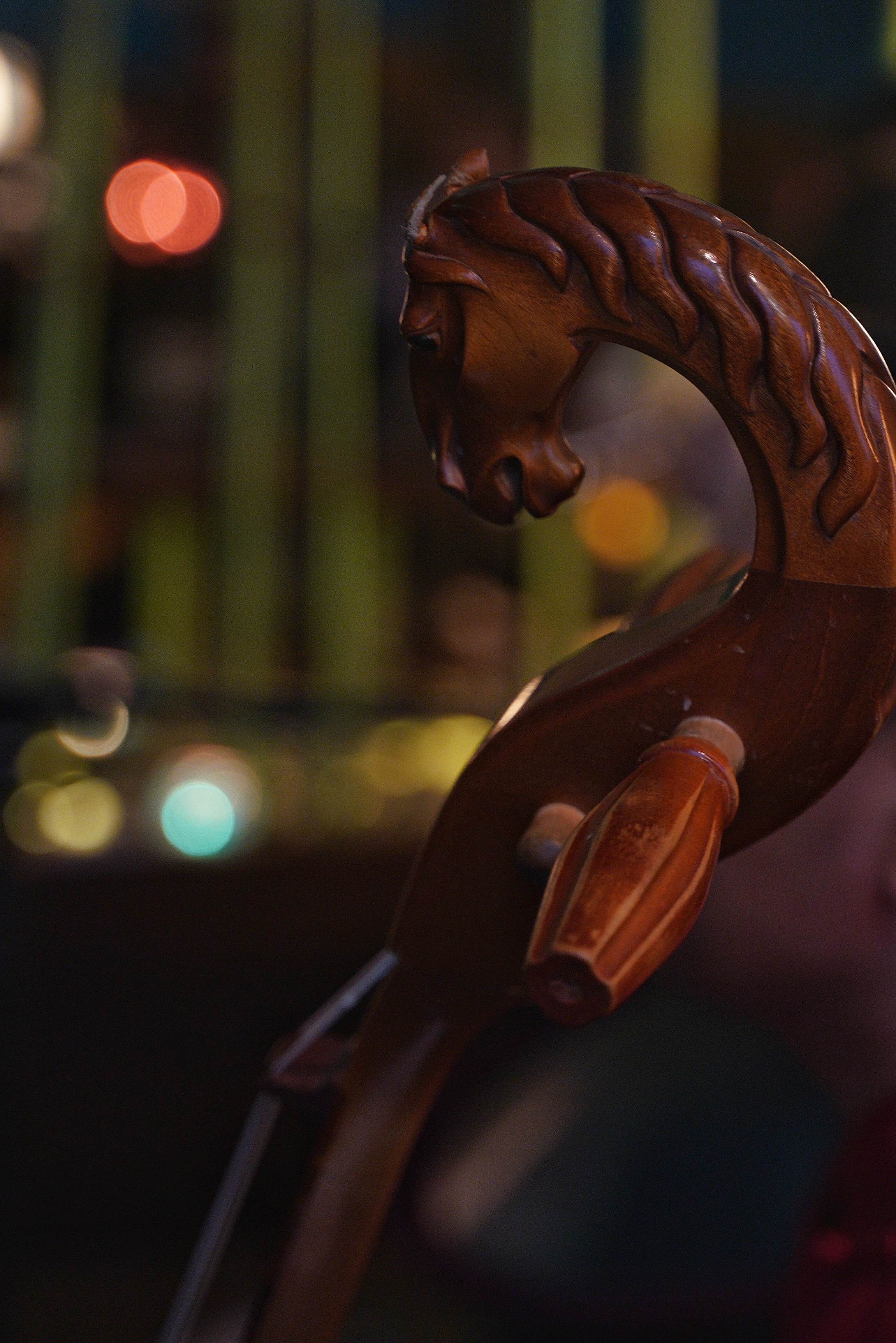 Выступление Forest jam project в Открытом в чайной Чаван. Портретный и репортажный фотограф Наталья Горобец