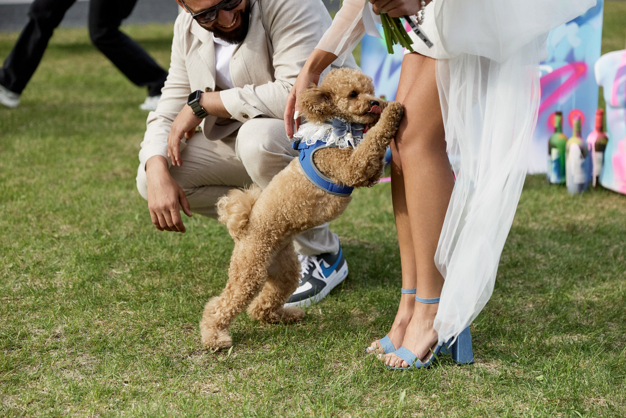 Посмотреть серию. Свадебный и семейный фотограф в Красноярске Тряпчев Павел