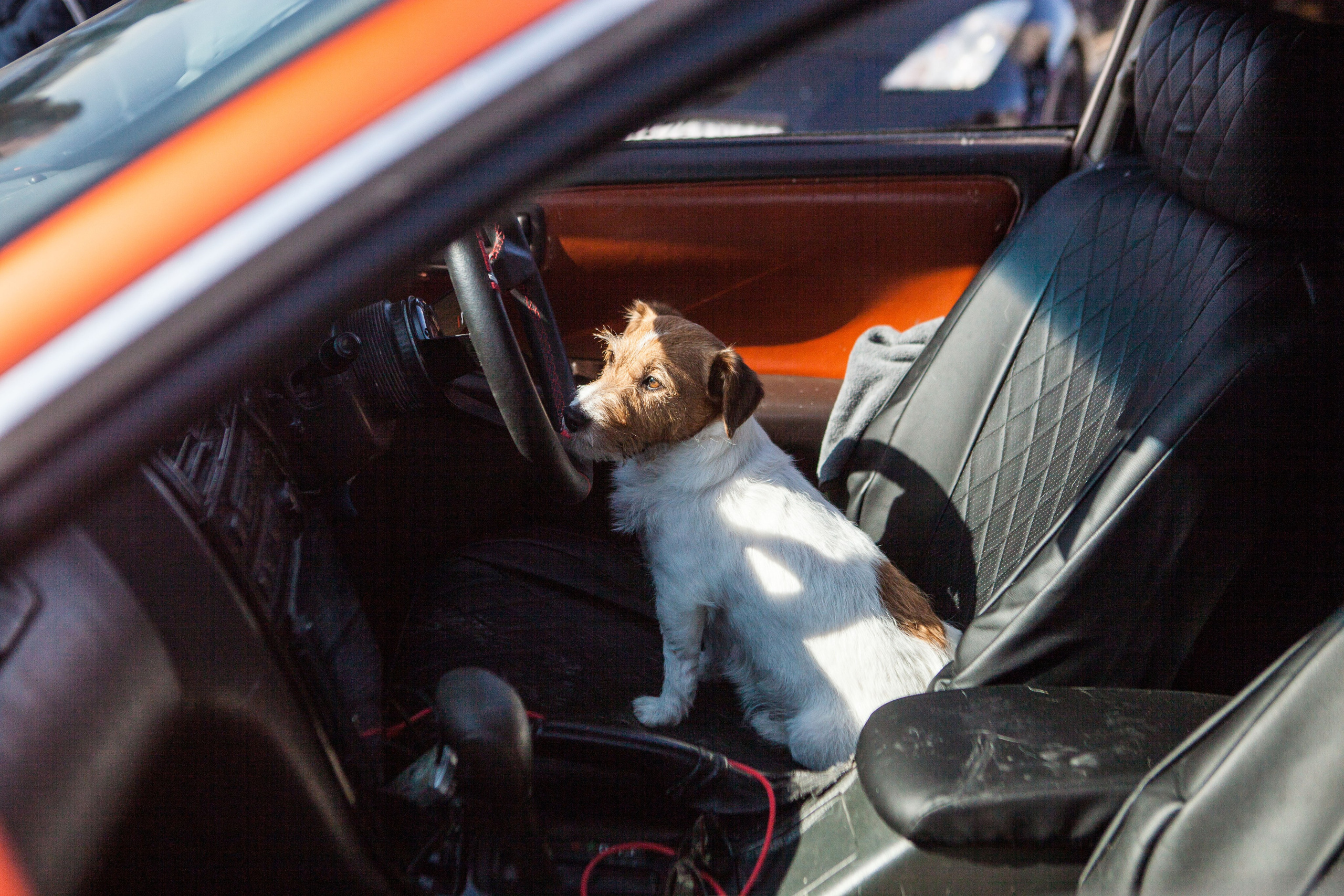 Репортажи. Фотограф и оператор Роман Фадеев в Екатеринбурге