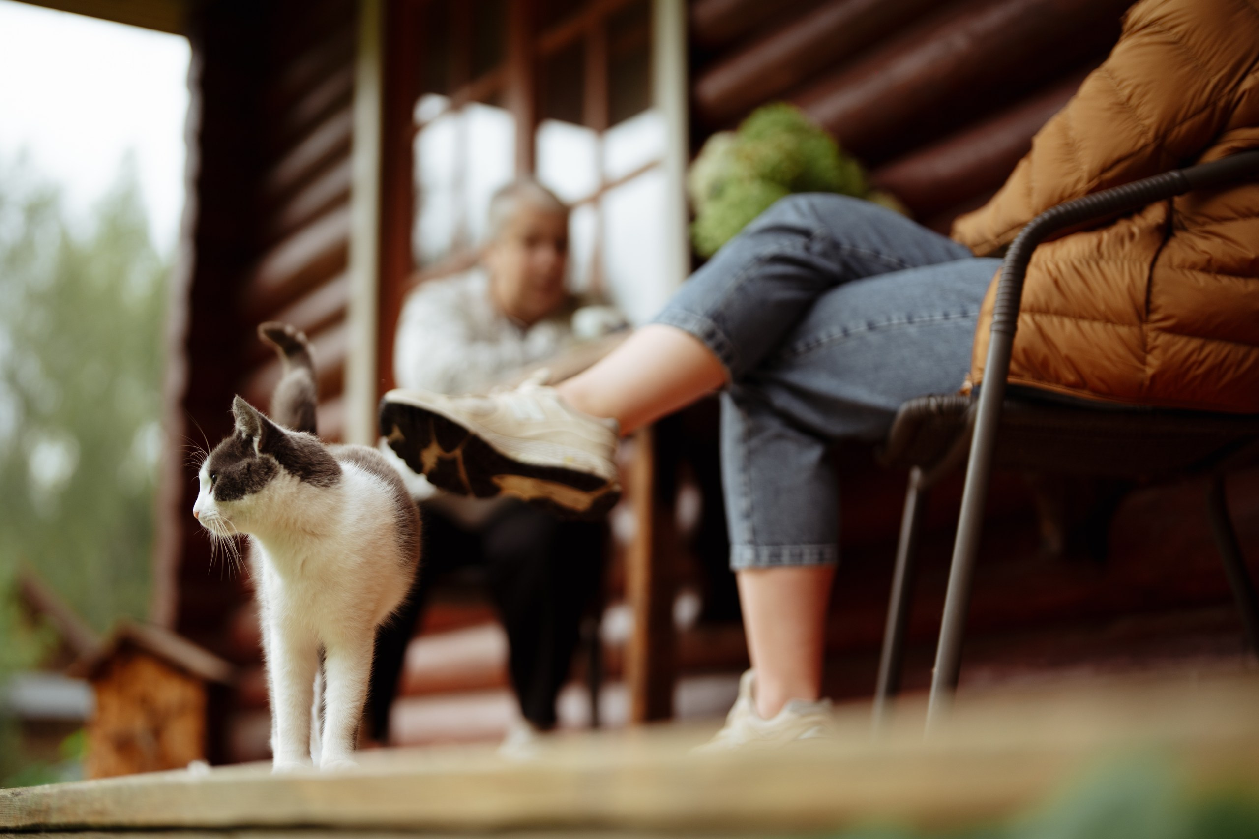 Сюжет № 11|Виктория Алексеенко