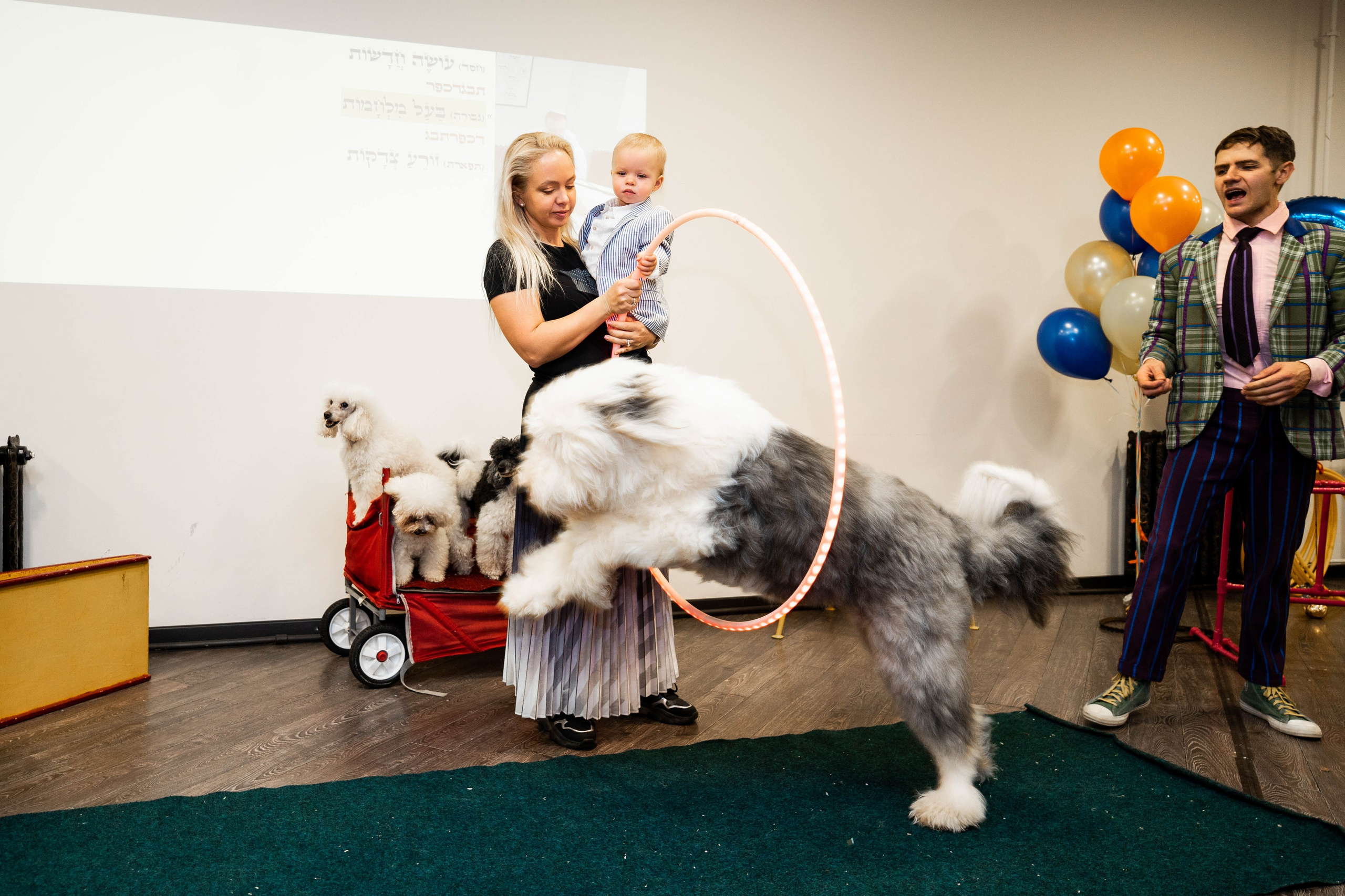 Даниэль h-day. Фотограф Абакумова Анастасия