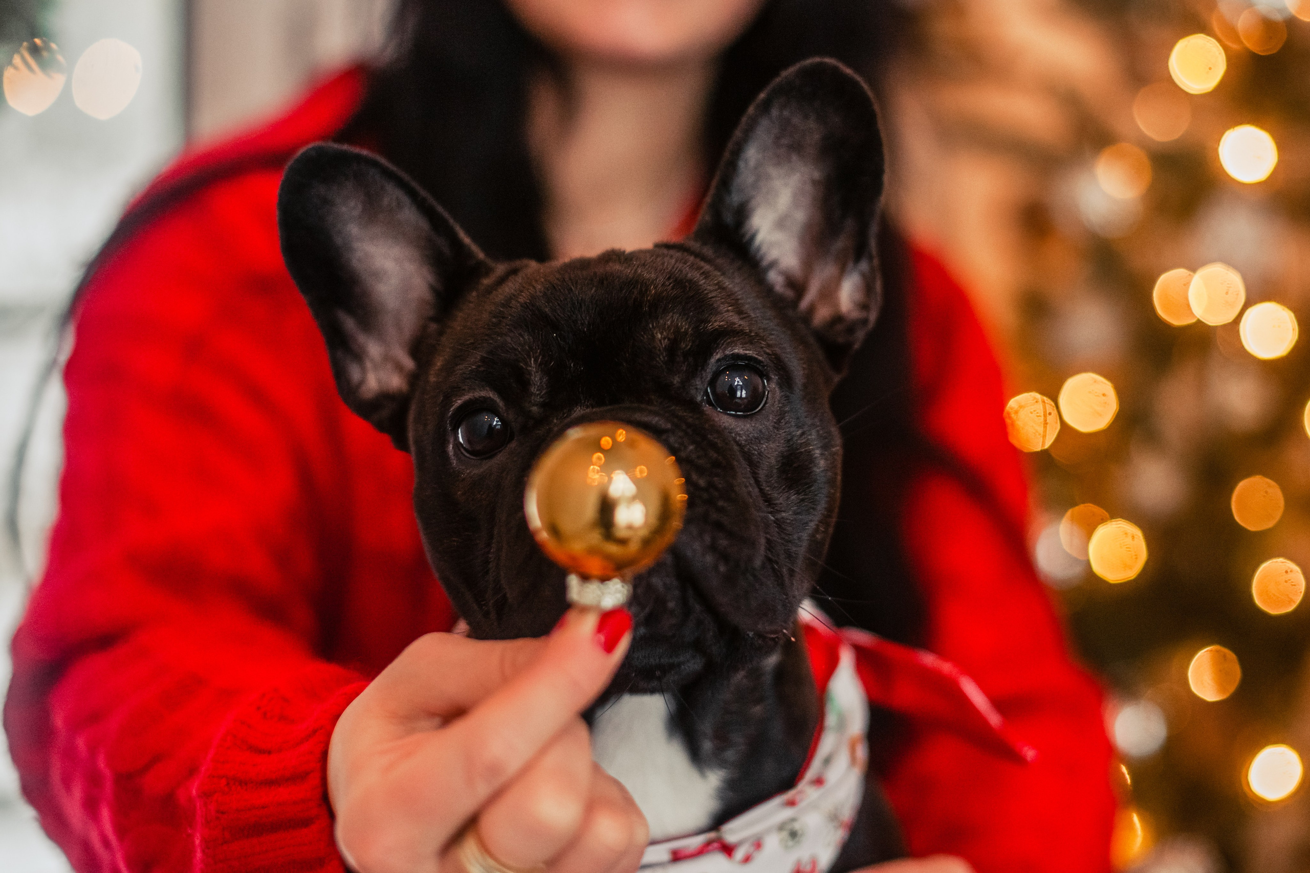 Кантри Хаус. Фотограф-анималист Татьяна Степанова