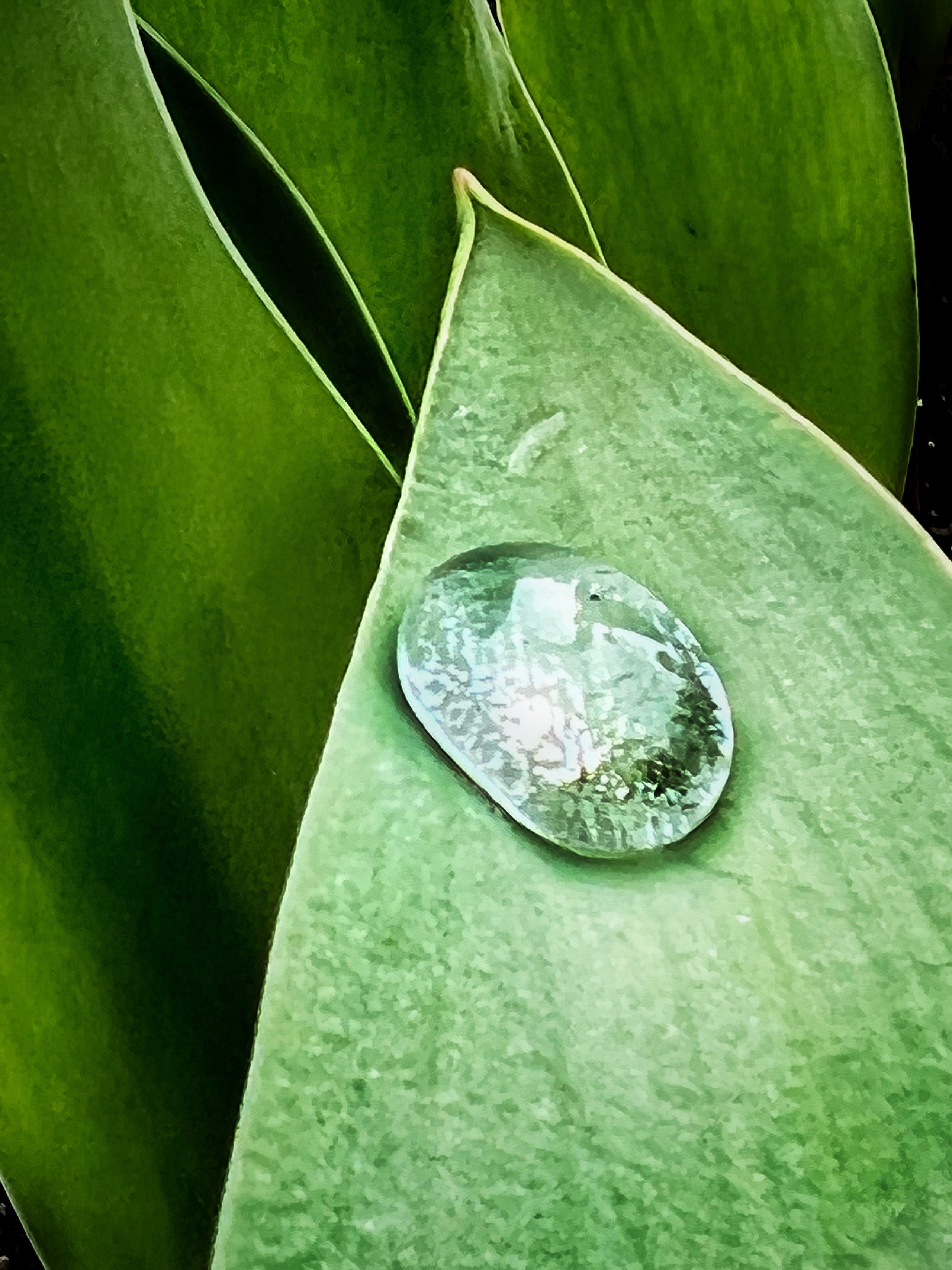 Снято на телефон. Фотография, ретушь, сканирование, восстановление старых фото, интерьерная съёмка, студия. Данилов Александр, Москва