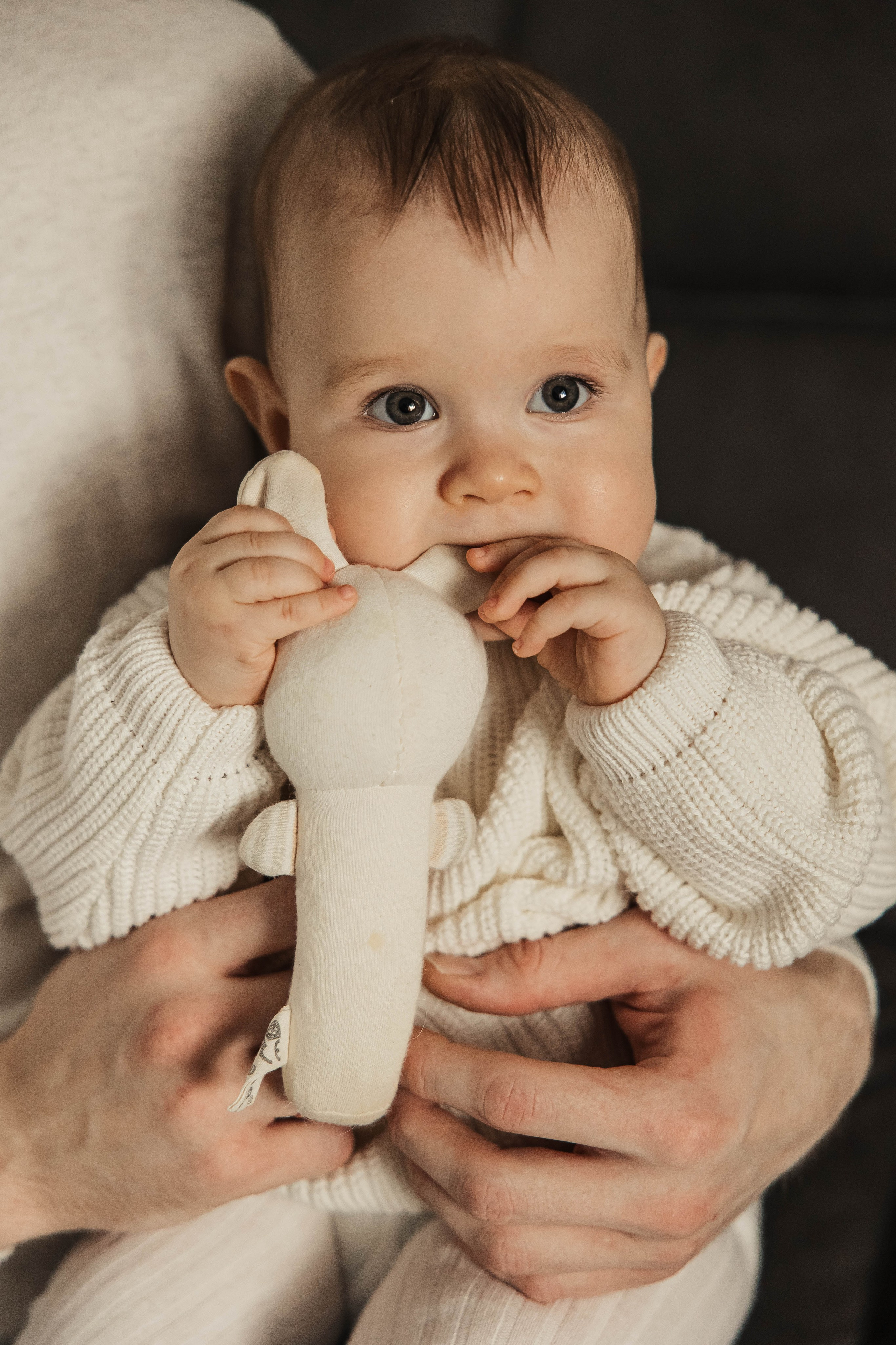 Семья Налетовых. Главная