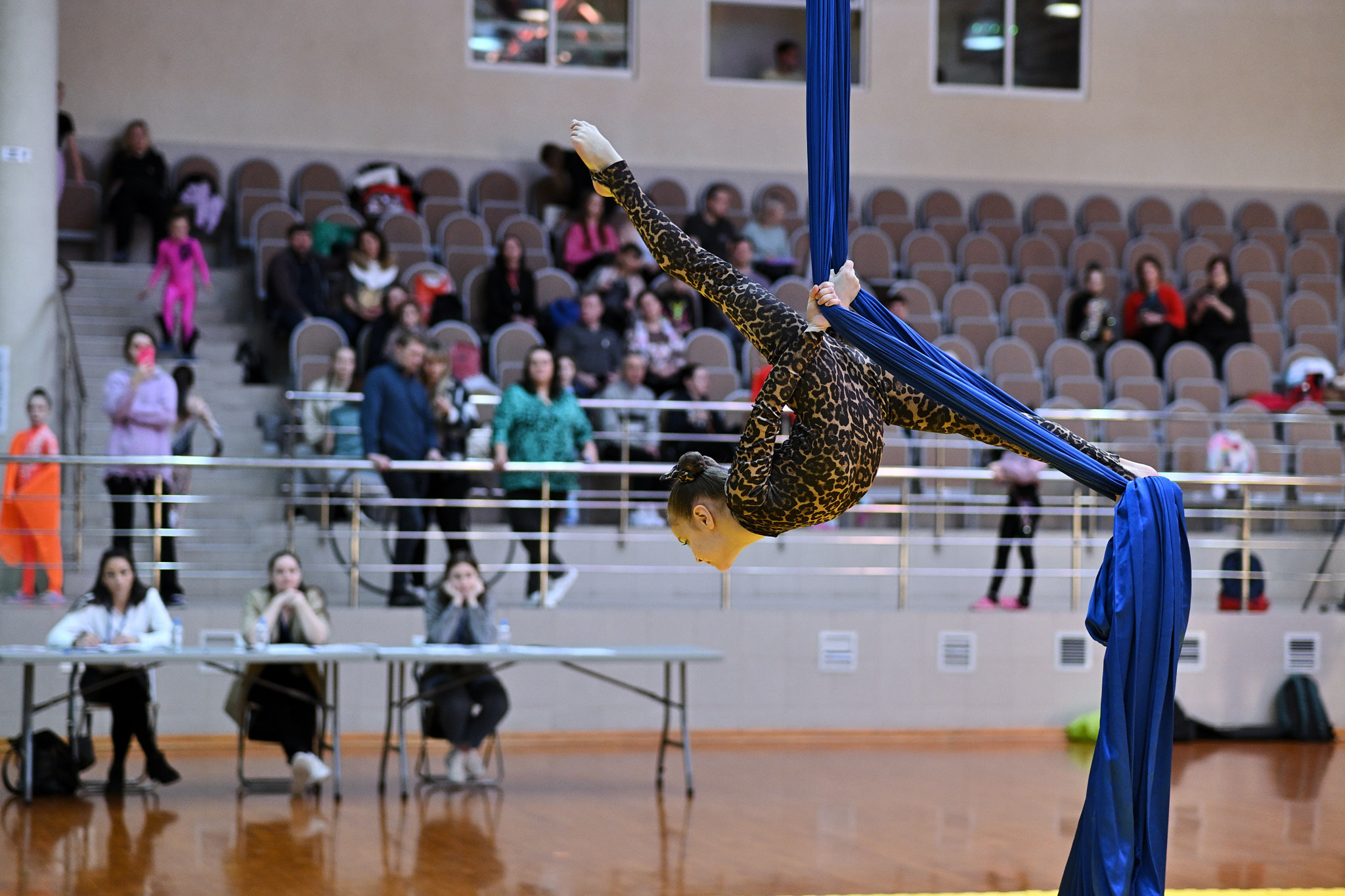 «Art Fly» Всероссийские соревнования по воздушной гимнастике 18.02.23