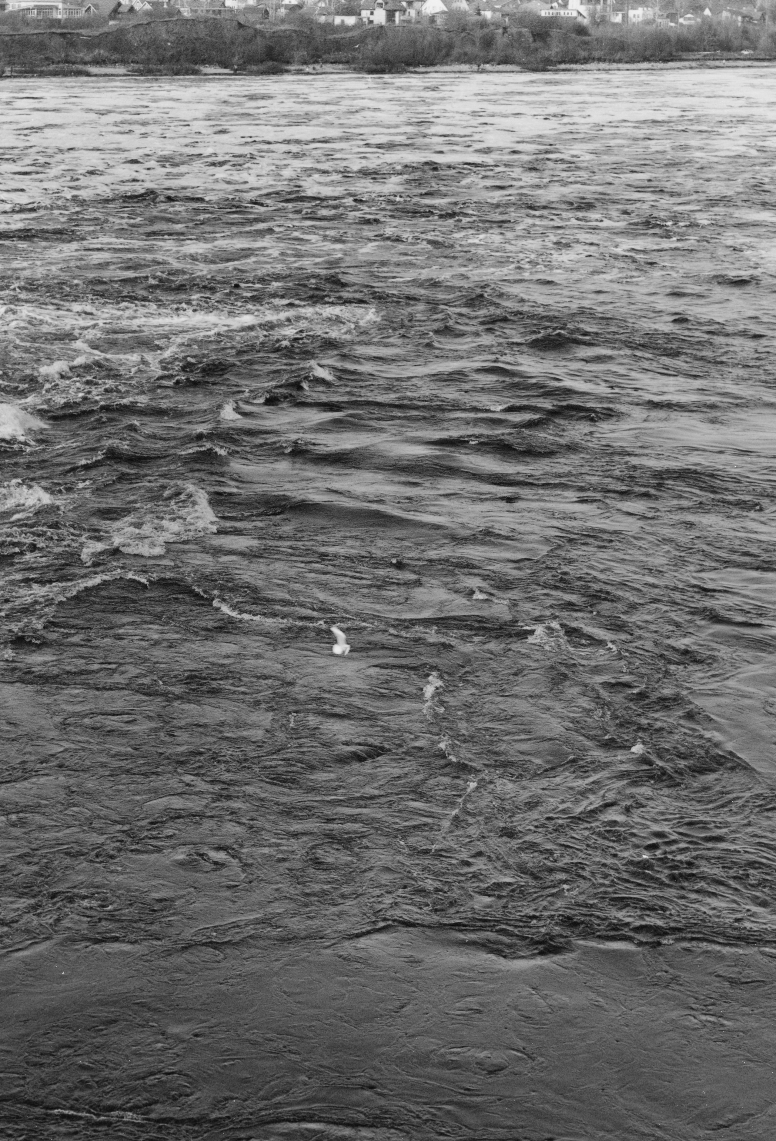 Prints. Maria Abdullaeva