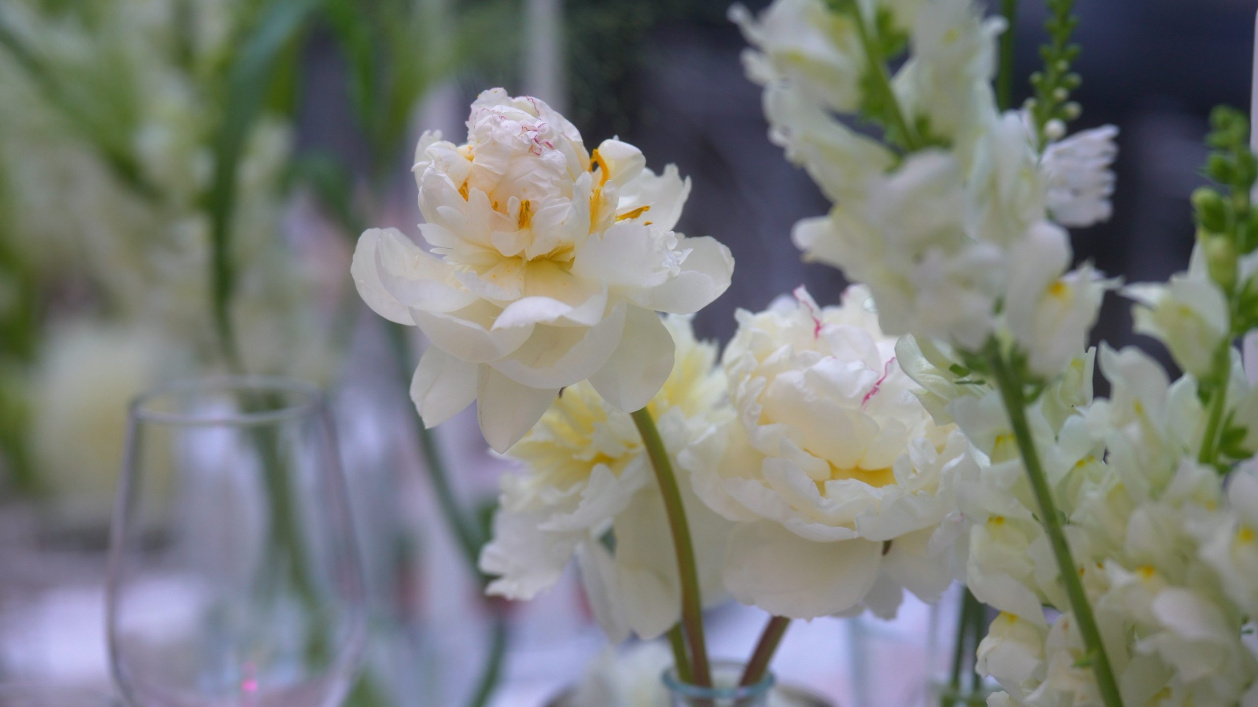 Александр и Александра. Агата Акварель видеограф Сочи Краснодар