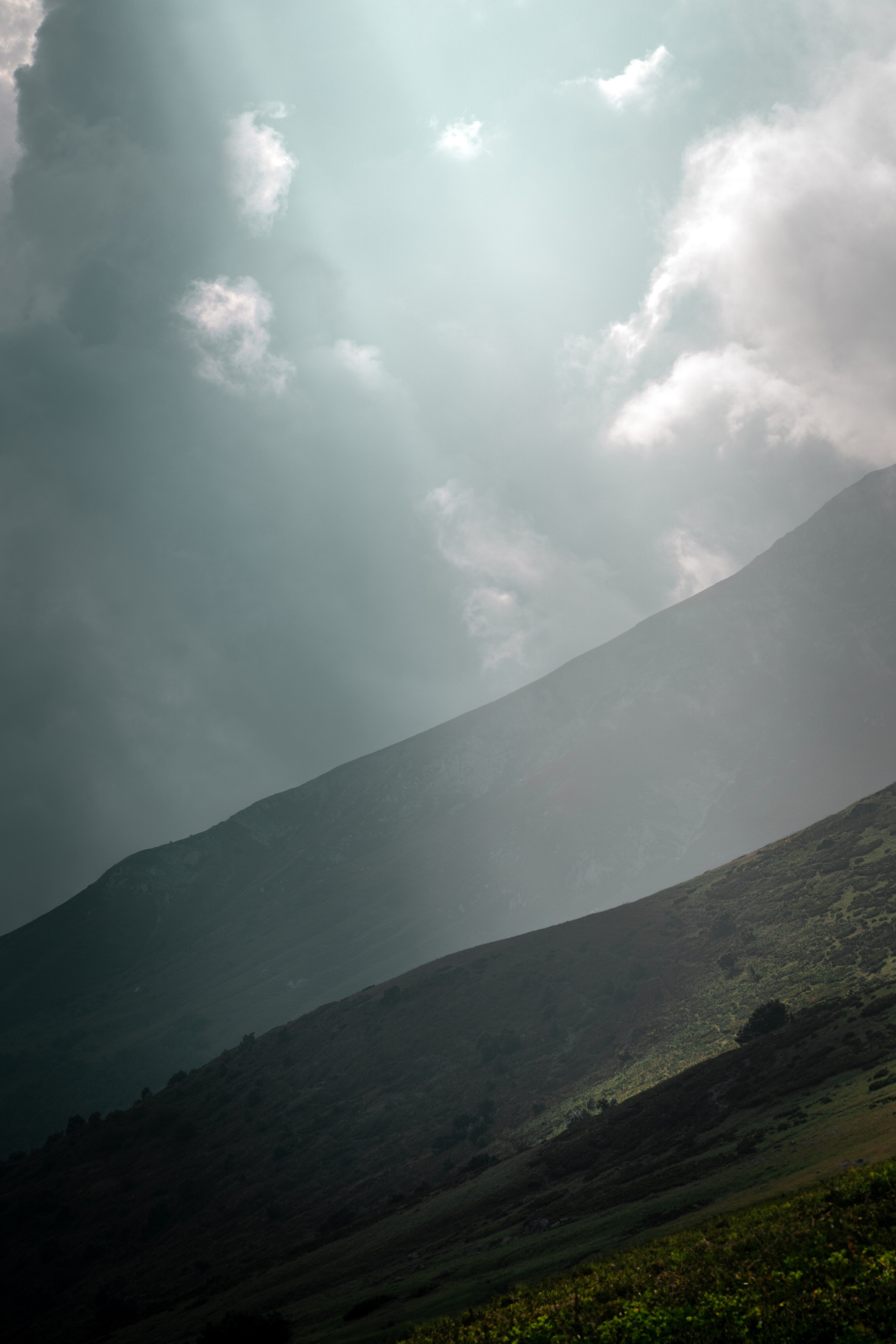 Сочи. Фотограф Александра Волкова | Волгоград