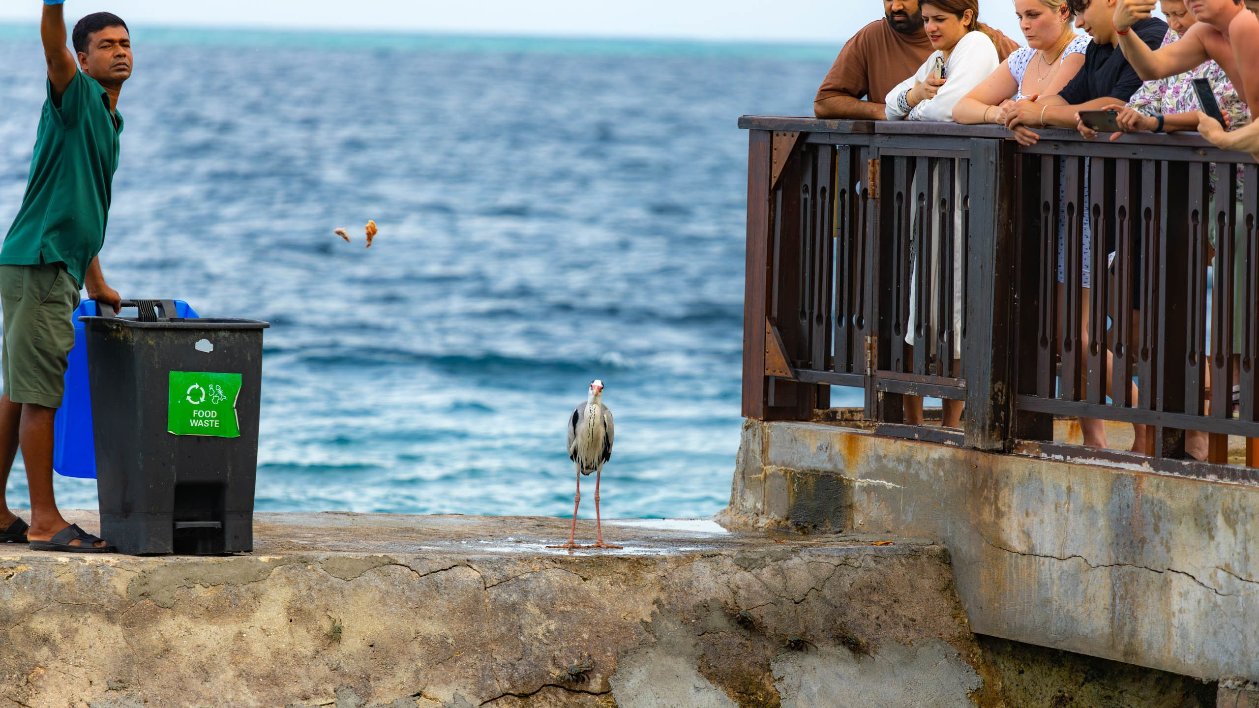 Мальдивы, Ellaidhoo Maldives by Cinnamon