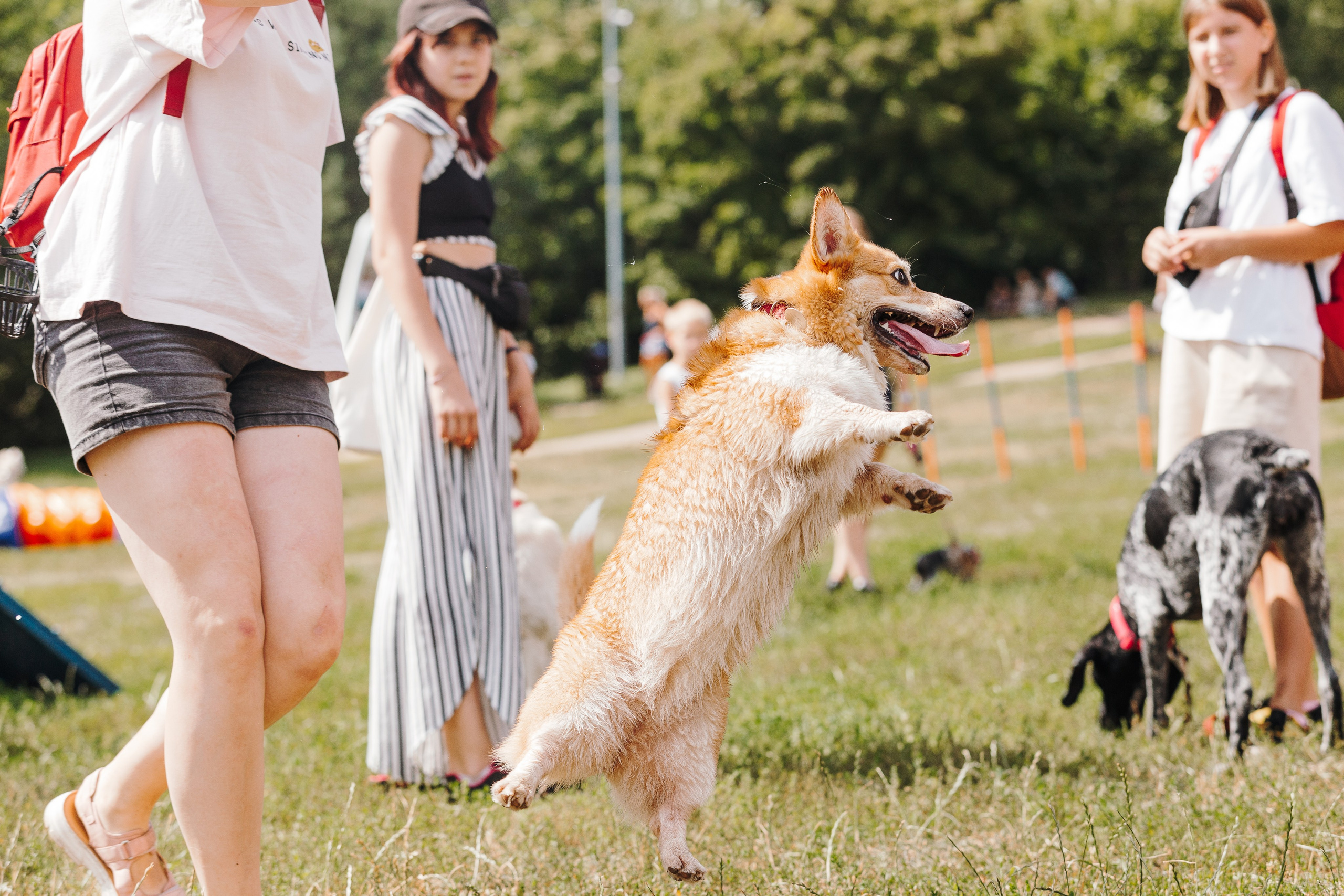 Petshop Sup day. Фотограф анималист Кристина Карпова, Москва