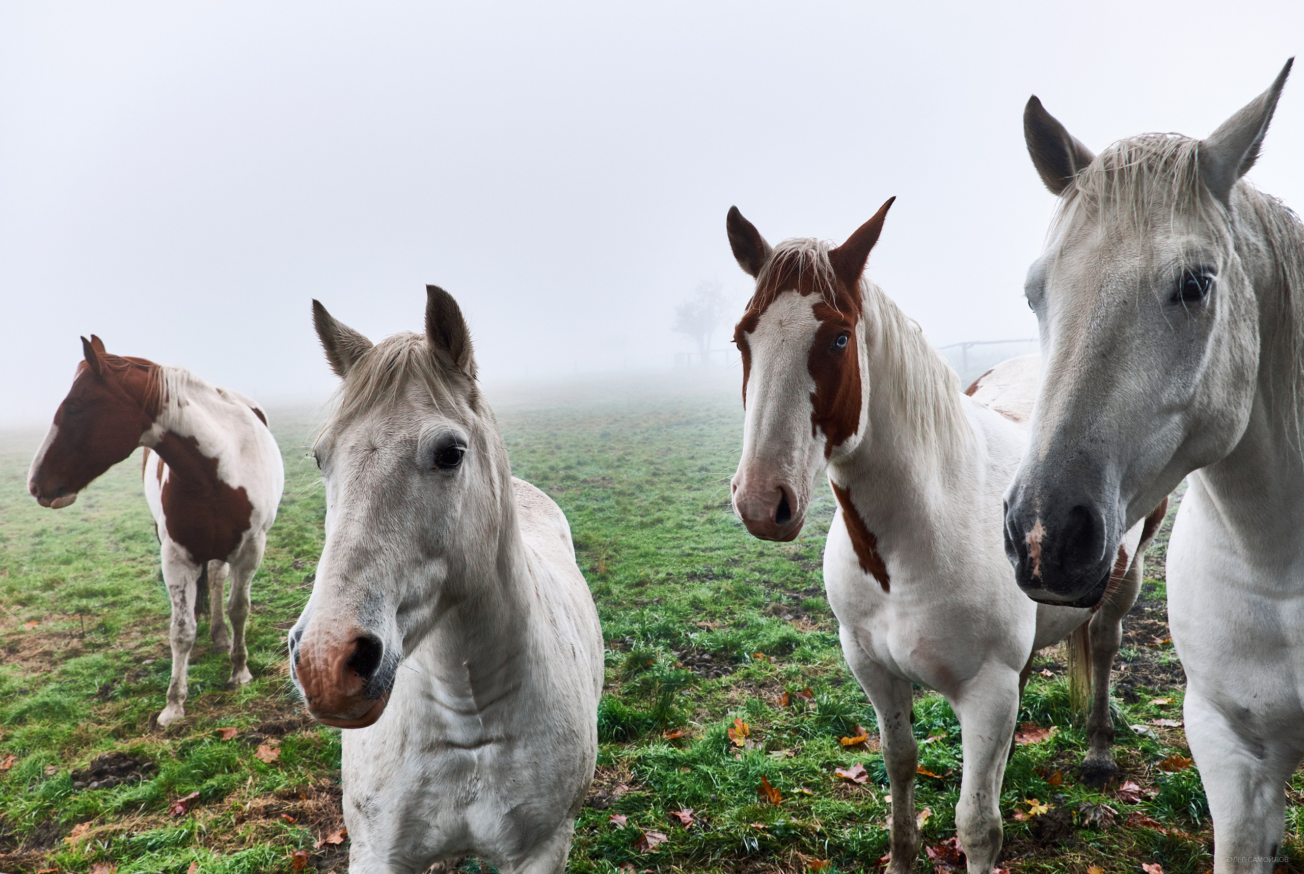 Фотографии для интерьера. Oleg Samoilov is a documentary photographer for brands that value an honest story