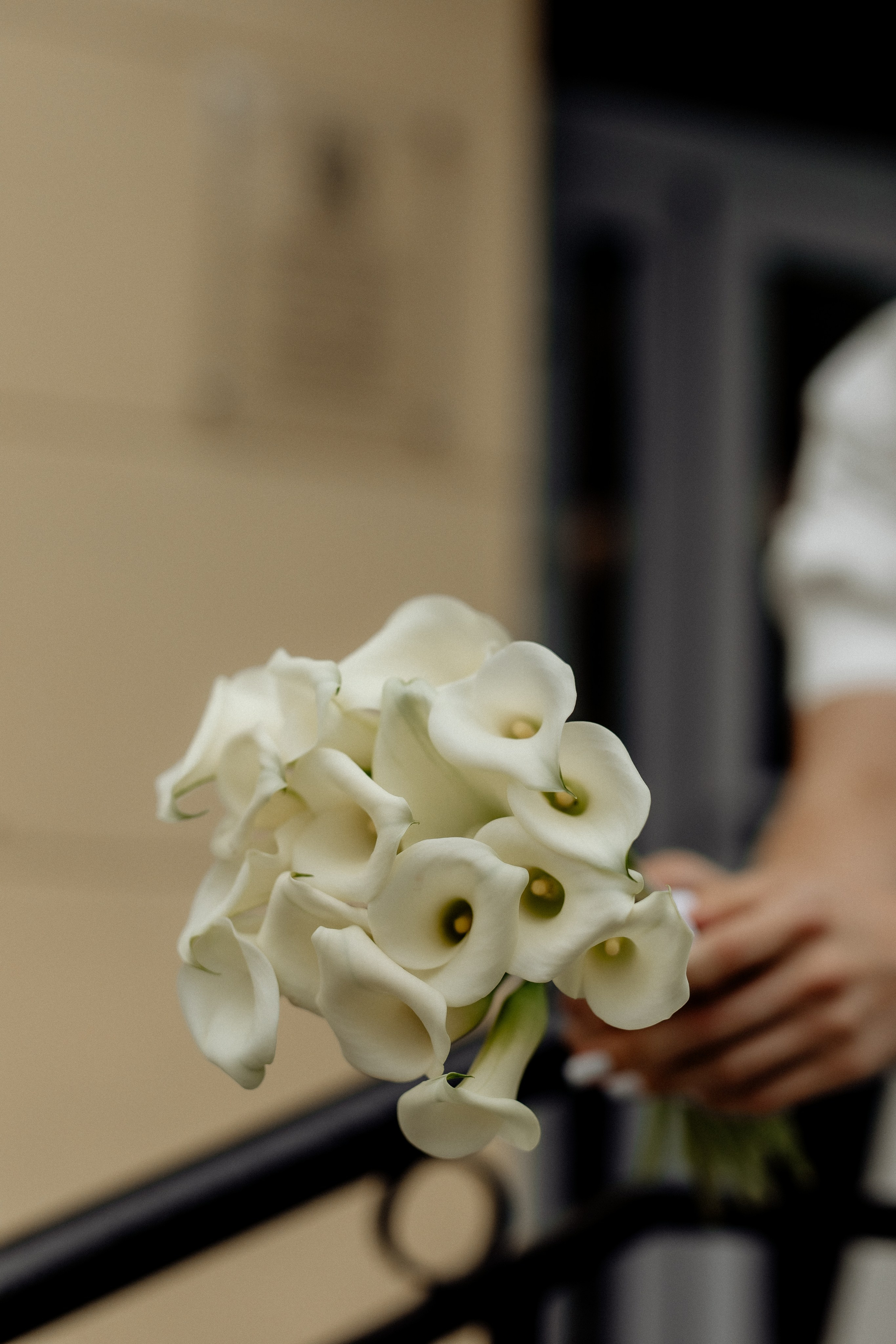 Александр и Лина. Свадебный фотограф в Саратове Симашова Ирина