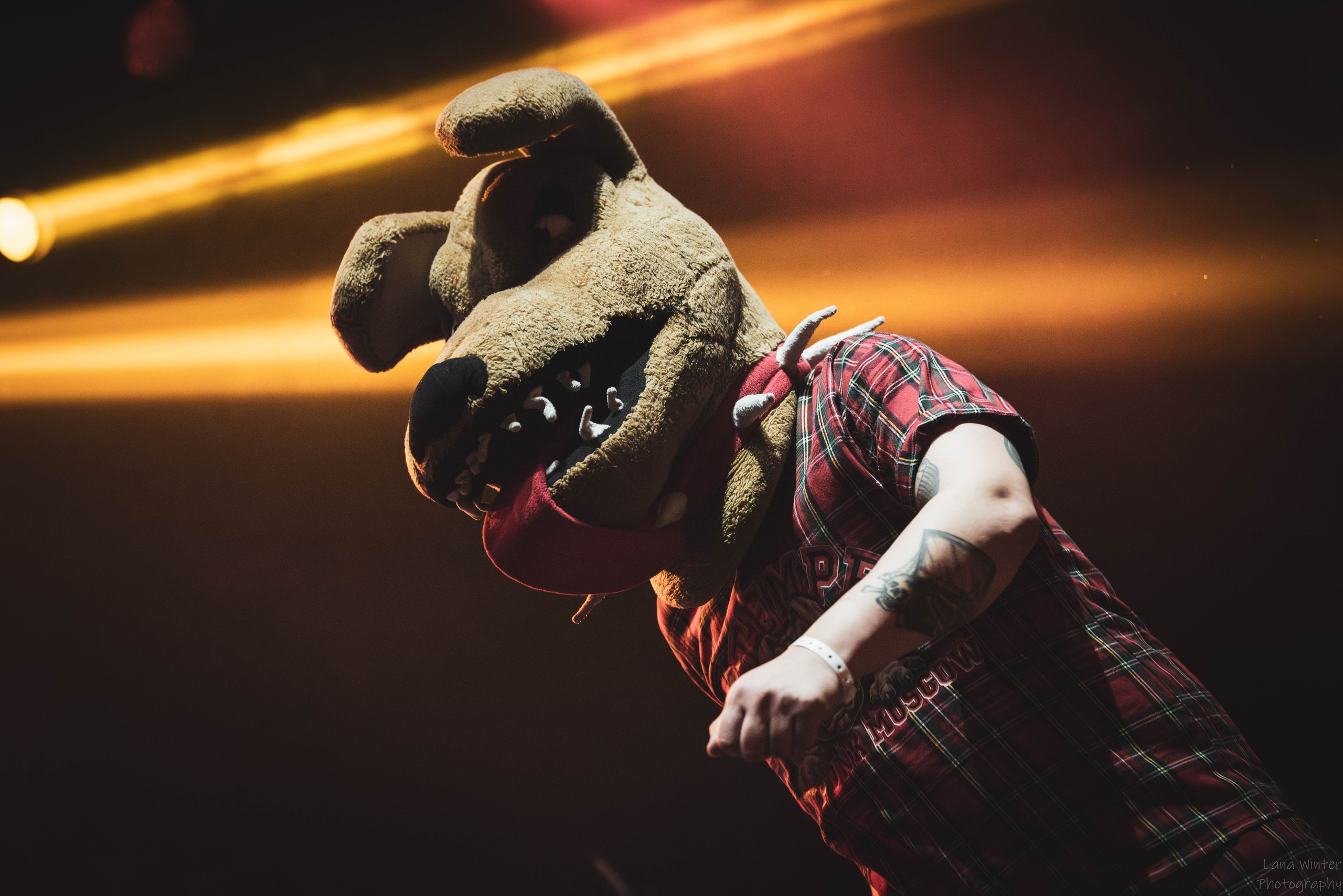 Distemper (4 января 2026 года, Москва, клуб Base). Фотограф Светлана Блинова, Москва и Московская область