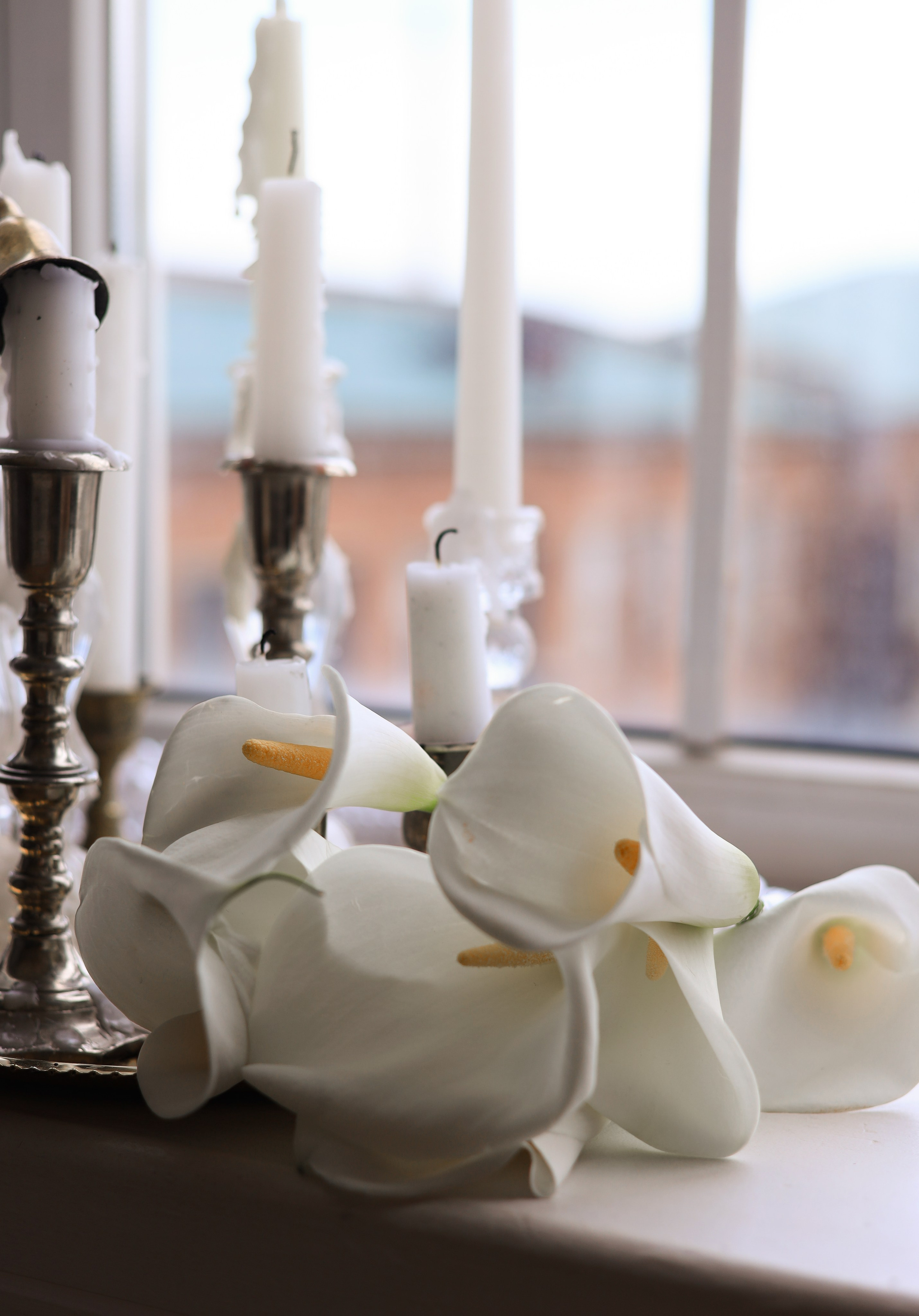 Необычная пара. Фотограф Людмила Жук