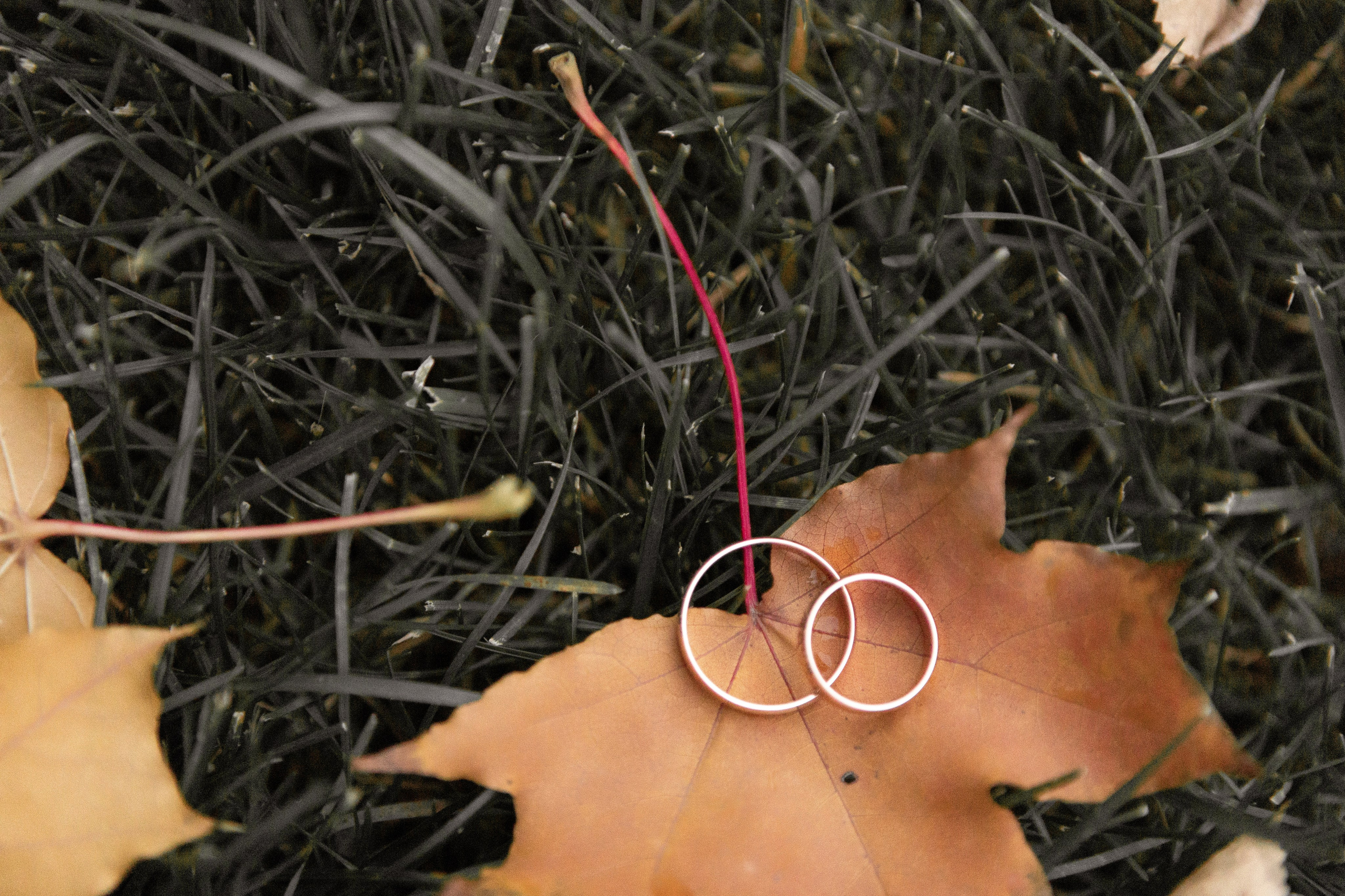 Влад и Ира. Свадебный фотограф в Воронеже Вероника Богай