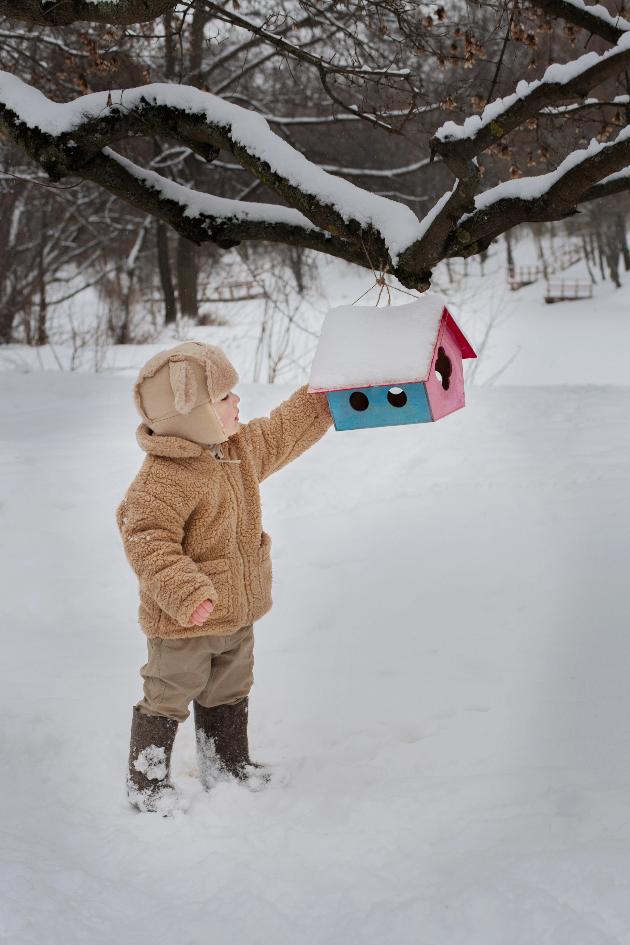 Прогулки (зима). Лина Курочка — ваш фотограф