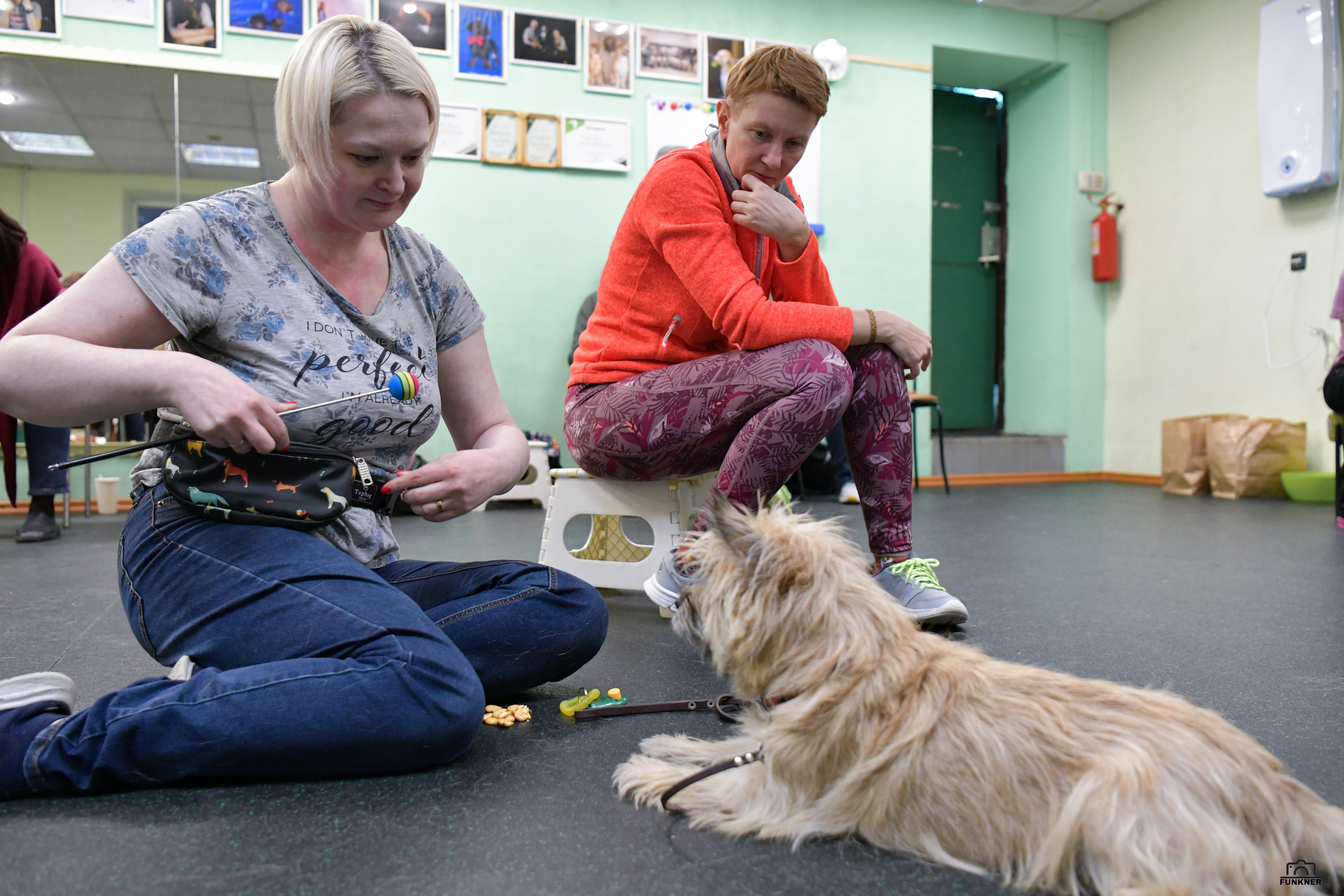 Кинологический клуб «Бодрый хвост». Свой взгляд через объектив