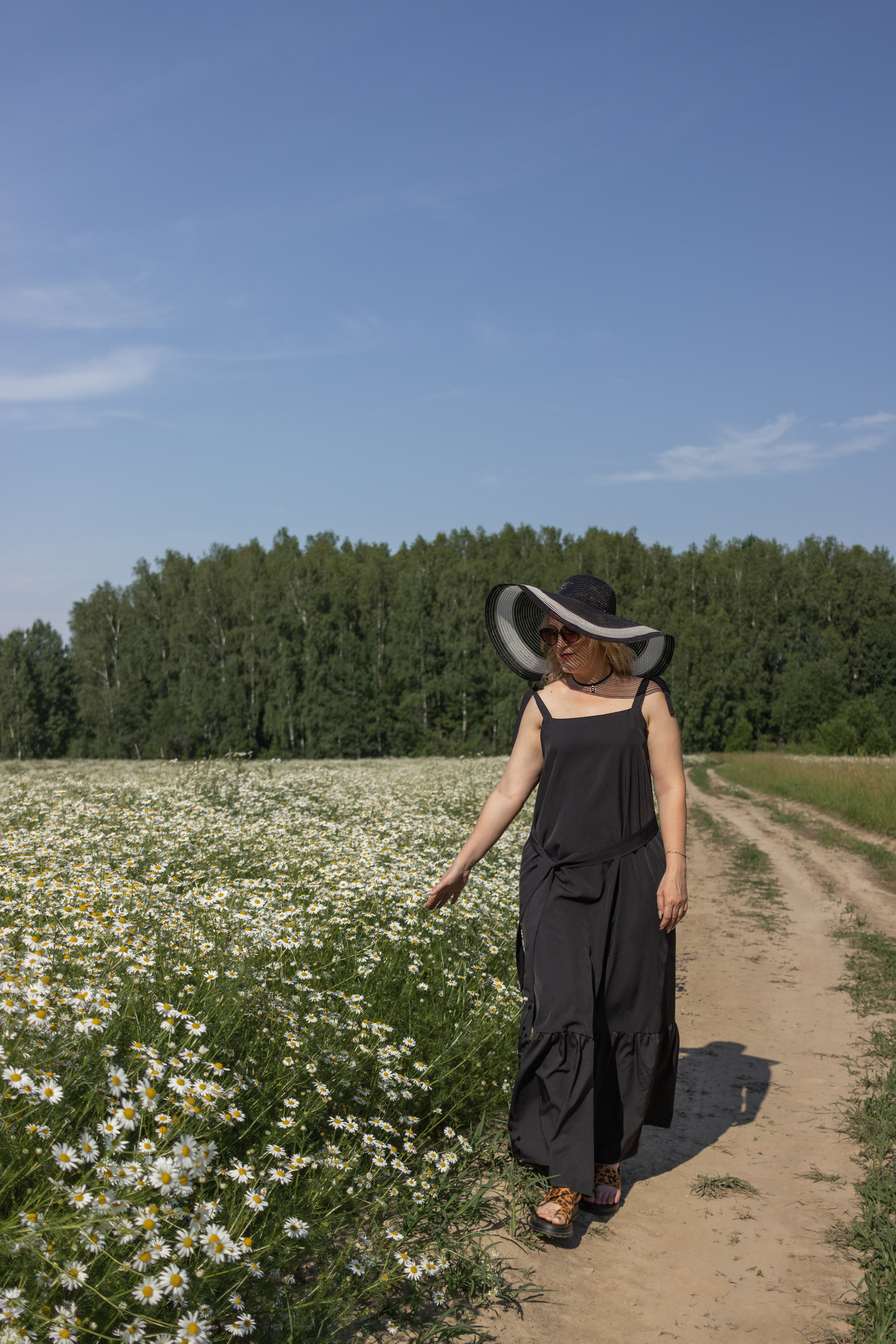Ромашковое поле. Фотограф в Городце Розова Елена