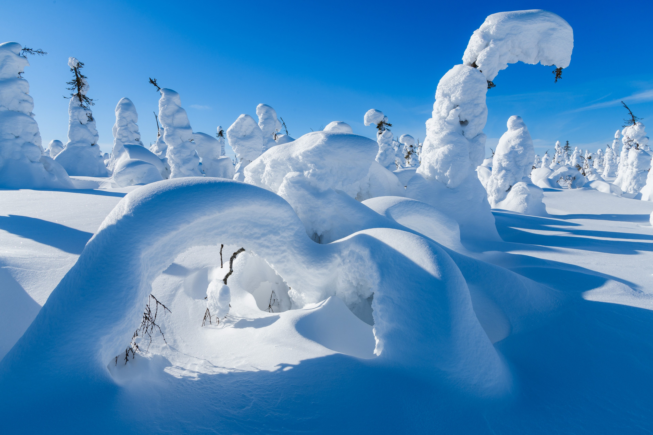 Зима. Северные Ночи