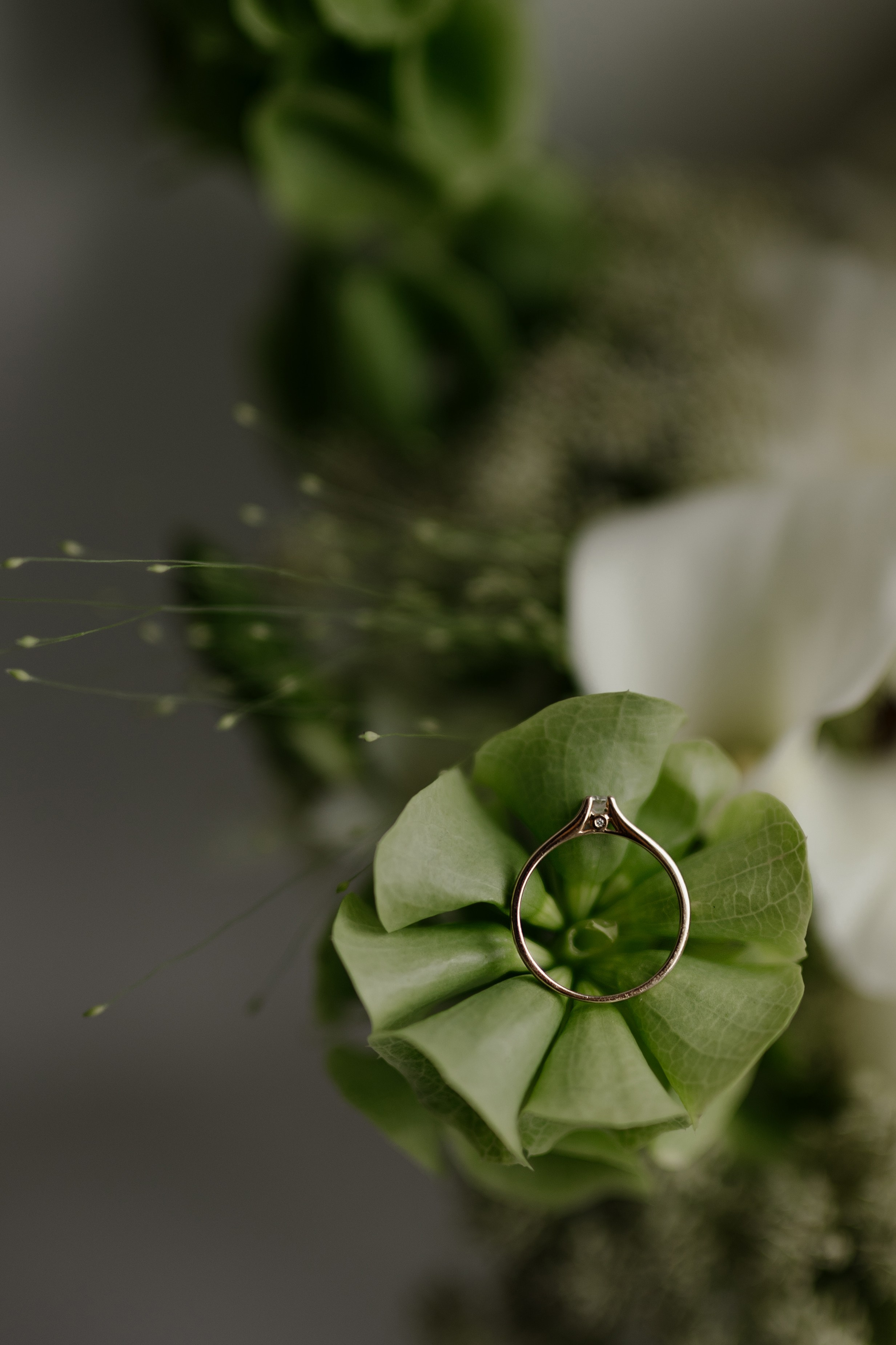 Свадьба Александра и Анны. Фотограф Кольчугино/Владимир/Москва Елизавета Иода