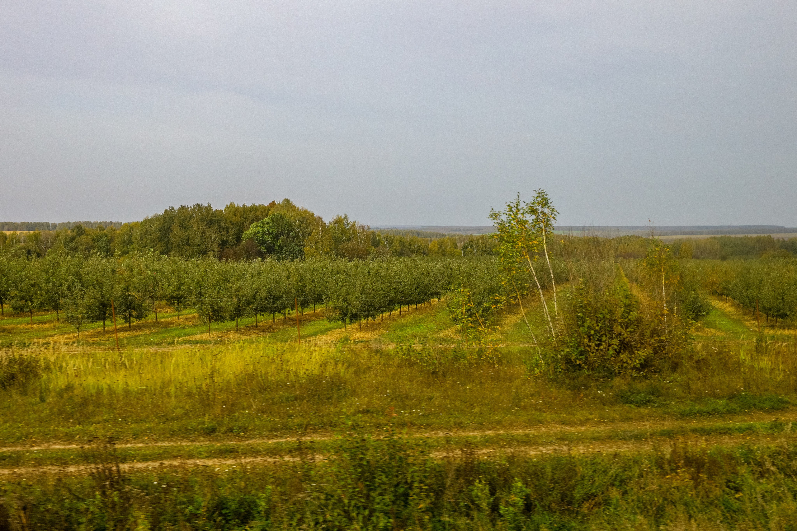 Поездка в Белев и на производство пастилы. Фотограф в Туле Крупский АнДРей. Фотостудия «КАДР71» в Туле