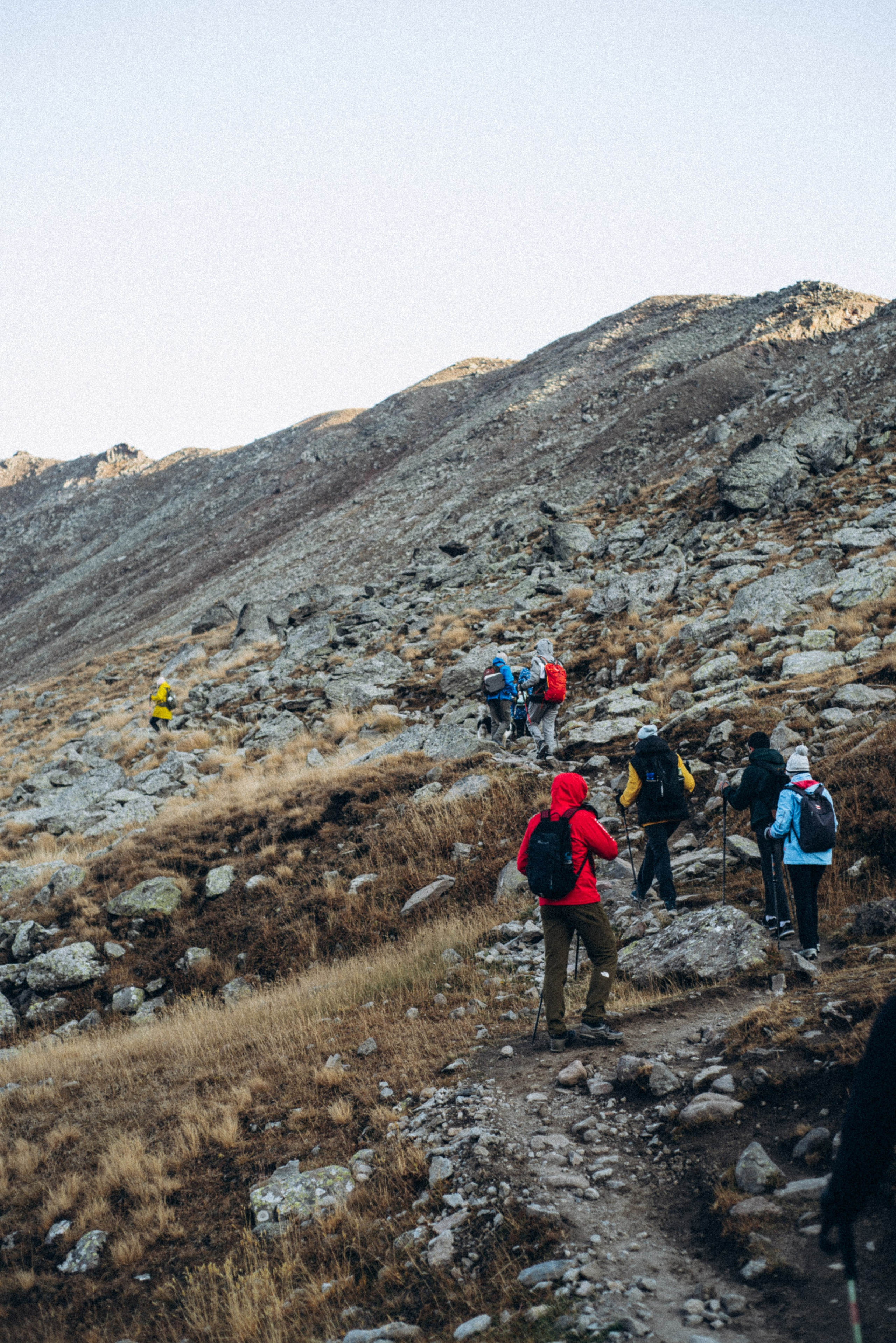 Казбеги, Грузия 🇬🇪 «PVD Club». Anita_photo