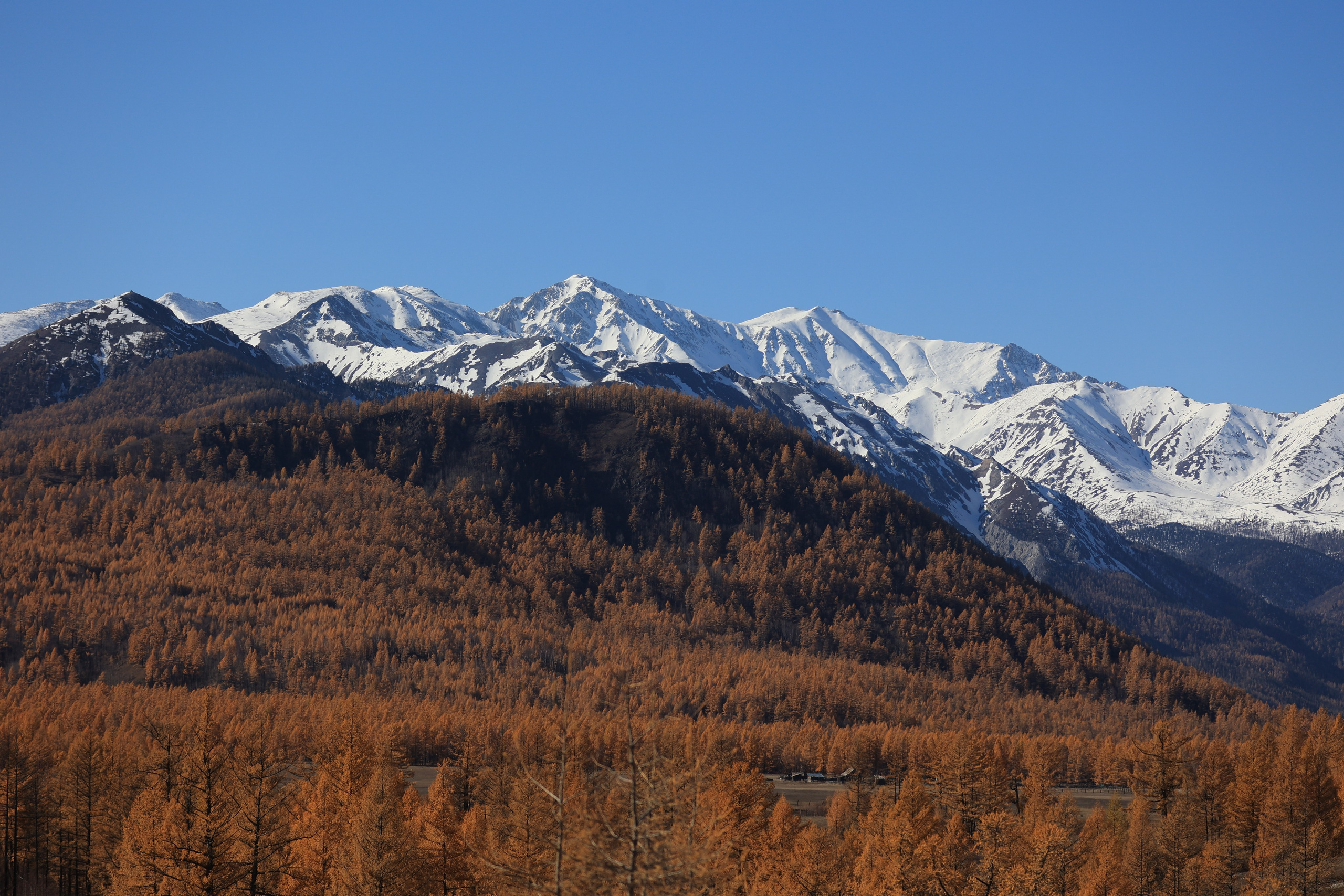 2023. Тащилин Сергей. Фотографии. Жизнь. Хобби