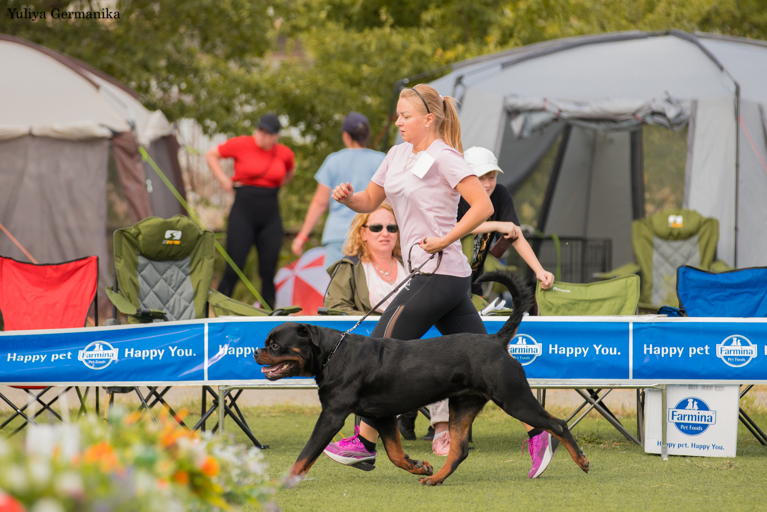 Анапа 16-17.09.2023 моно ротвейлеров. Фотограф-анималист Юлия Германика