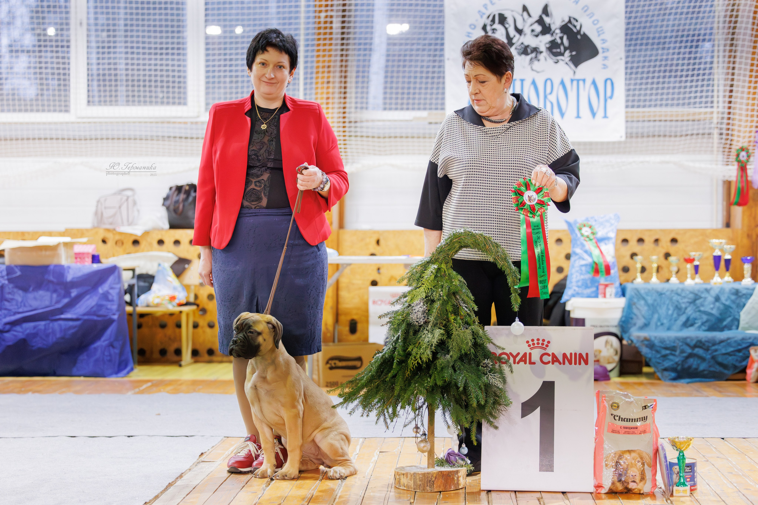 Тверь 21.12.2025. Фотограф-анималист Юлия Германика