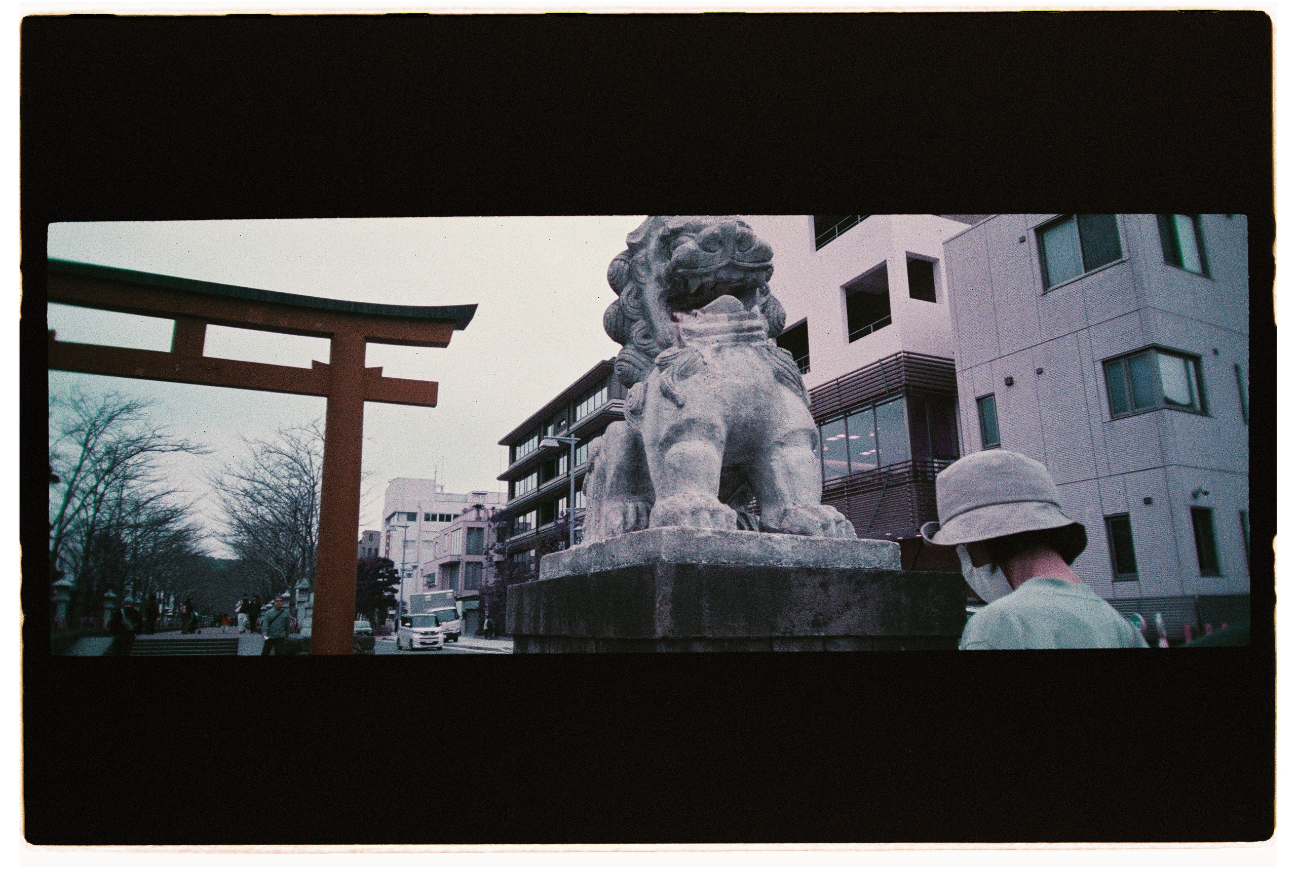 Japan film. Iraogo