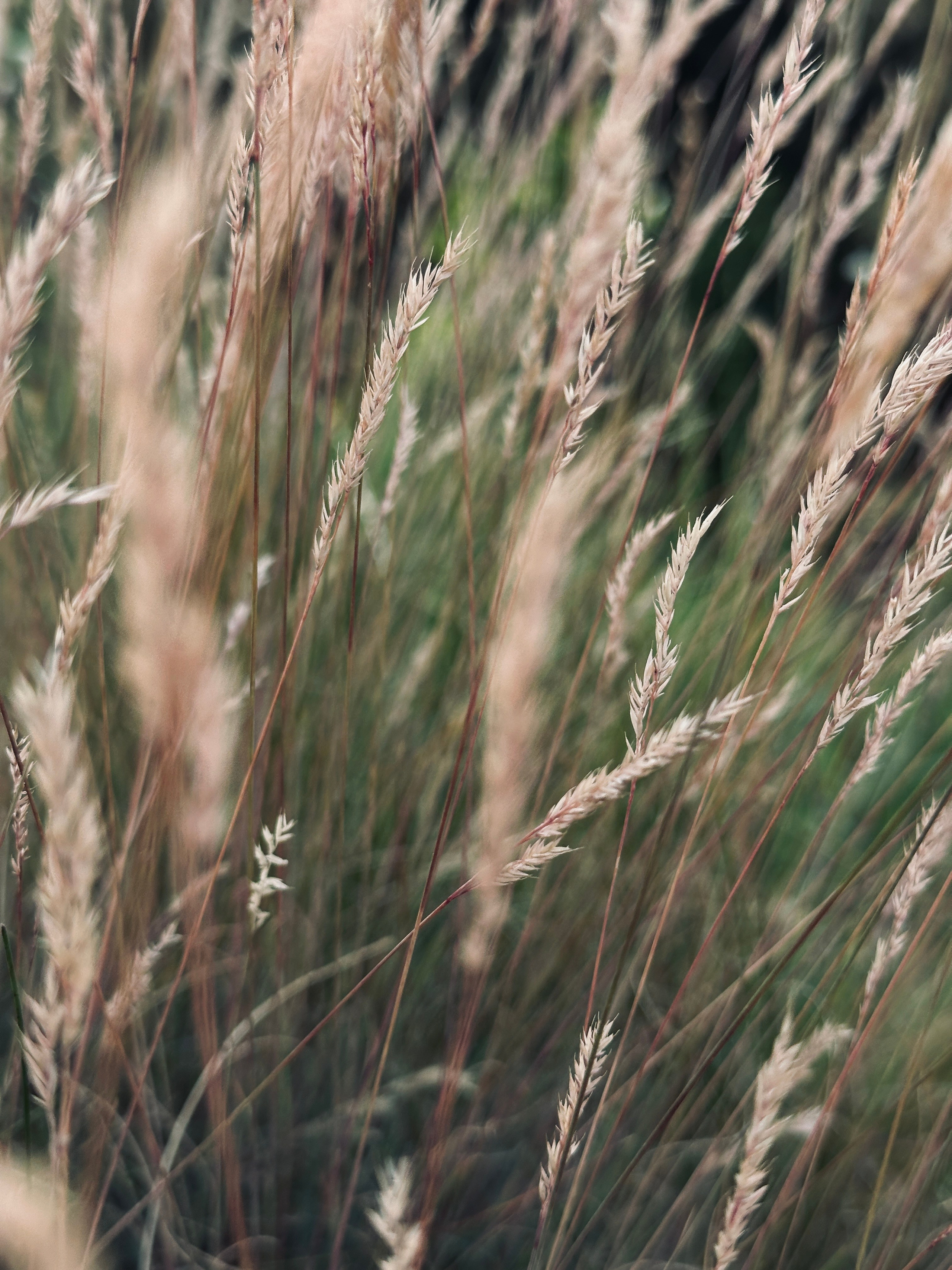 Флора и фауна. Смотри, красота!